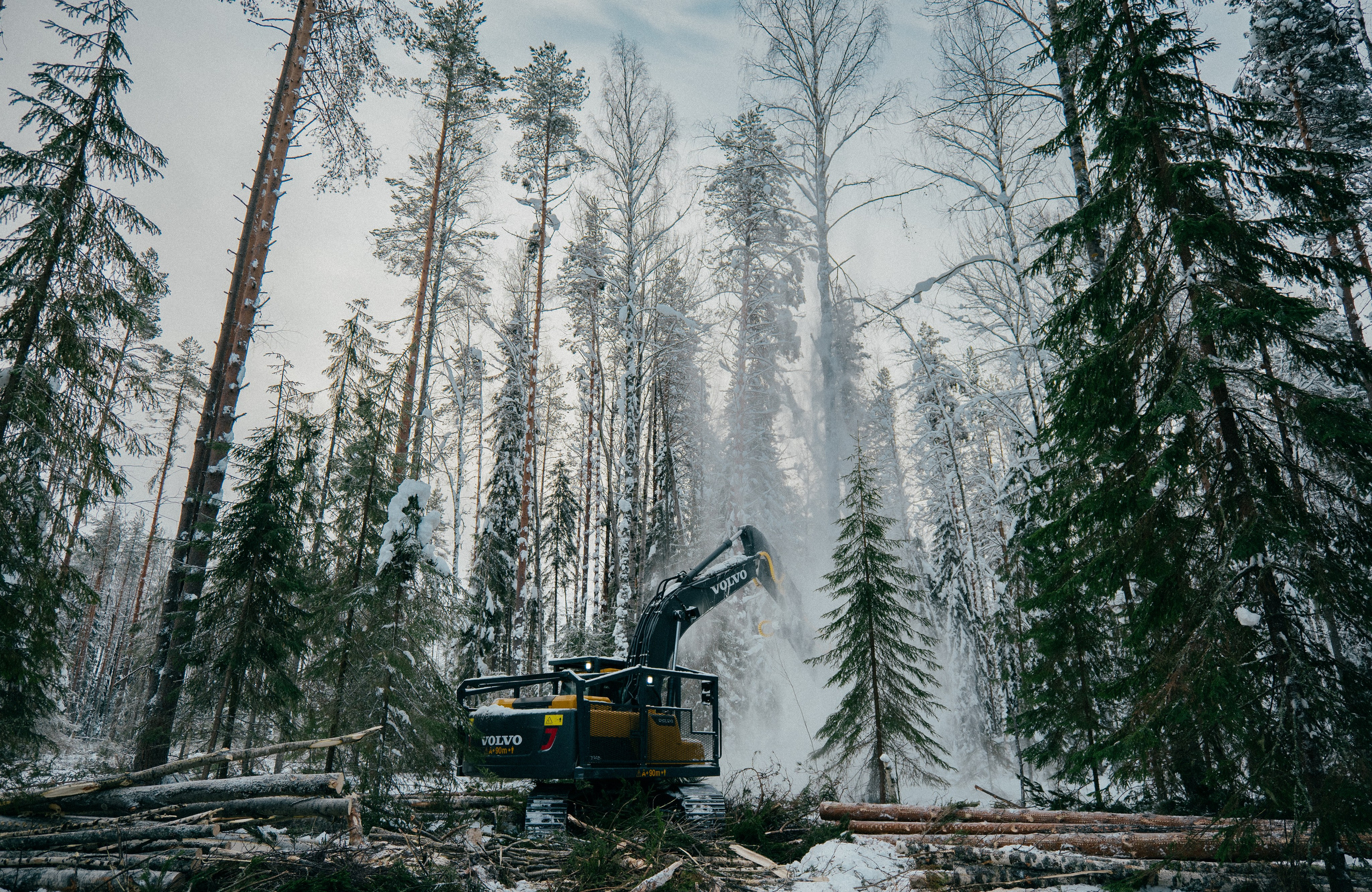 АРХАНГЕЛЬСК. Создание контента | Фото | Видеосъемка | Александр Ярков