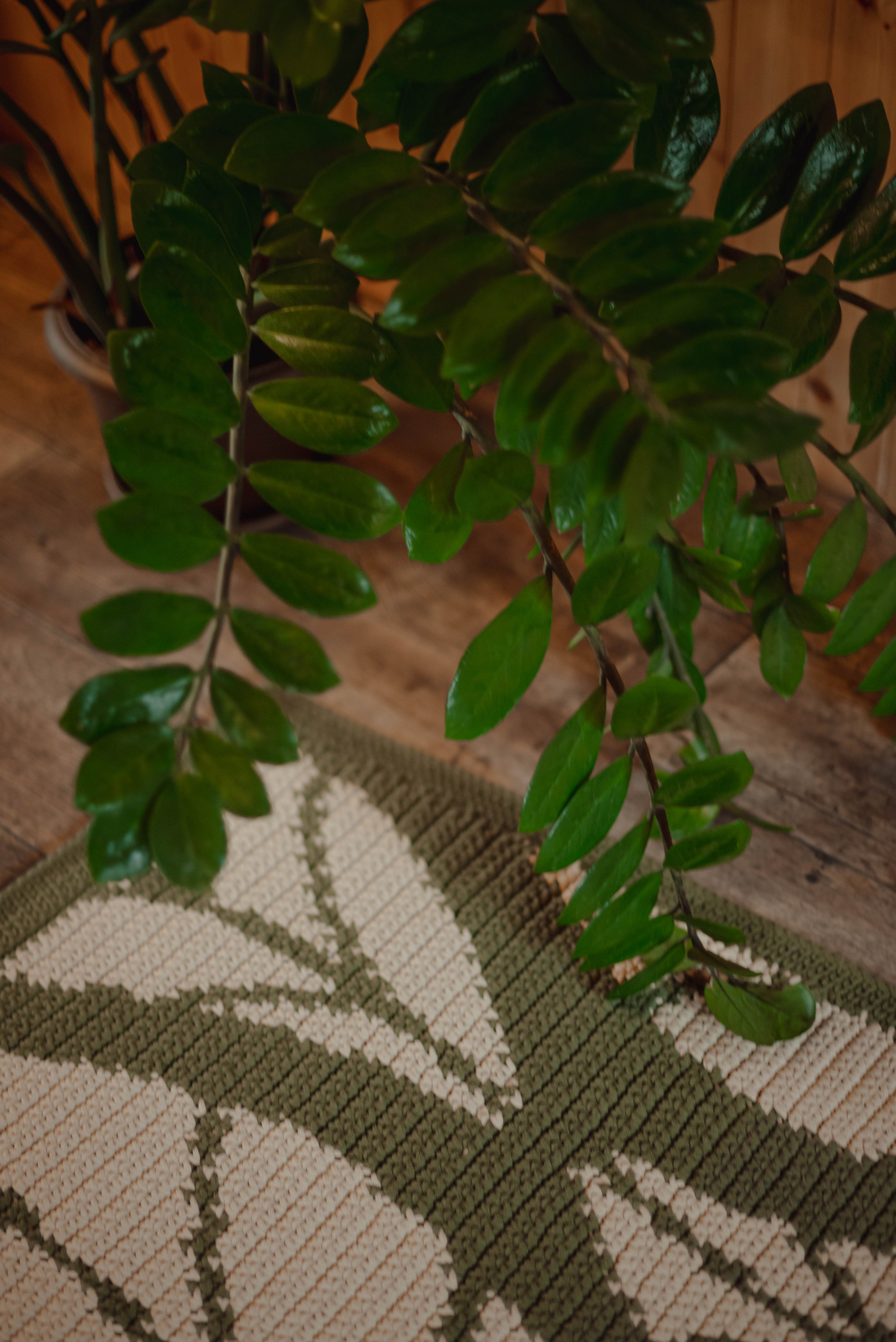 Лесное царство Оксаны. Свадебный и семейный фотограф в Новосибирске, Санкт-Петербурге, Москве