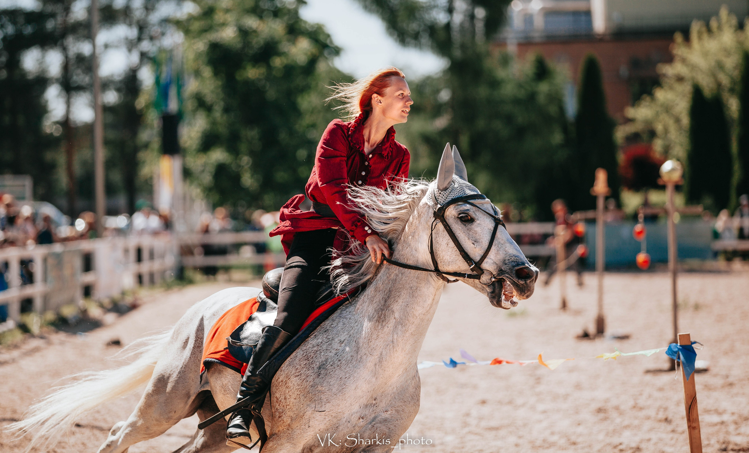 Лошади. Главная