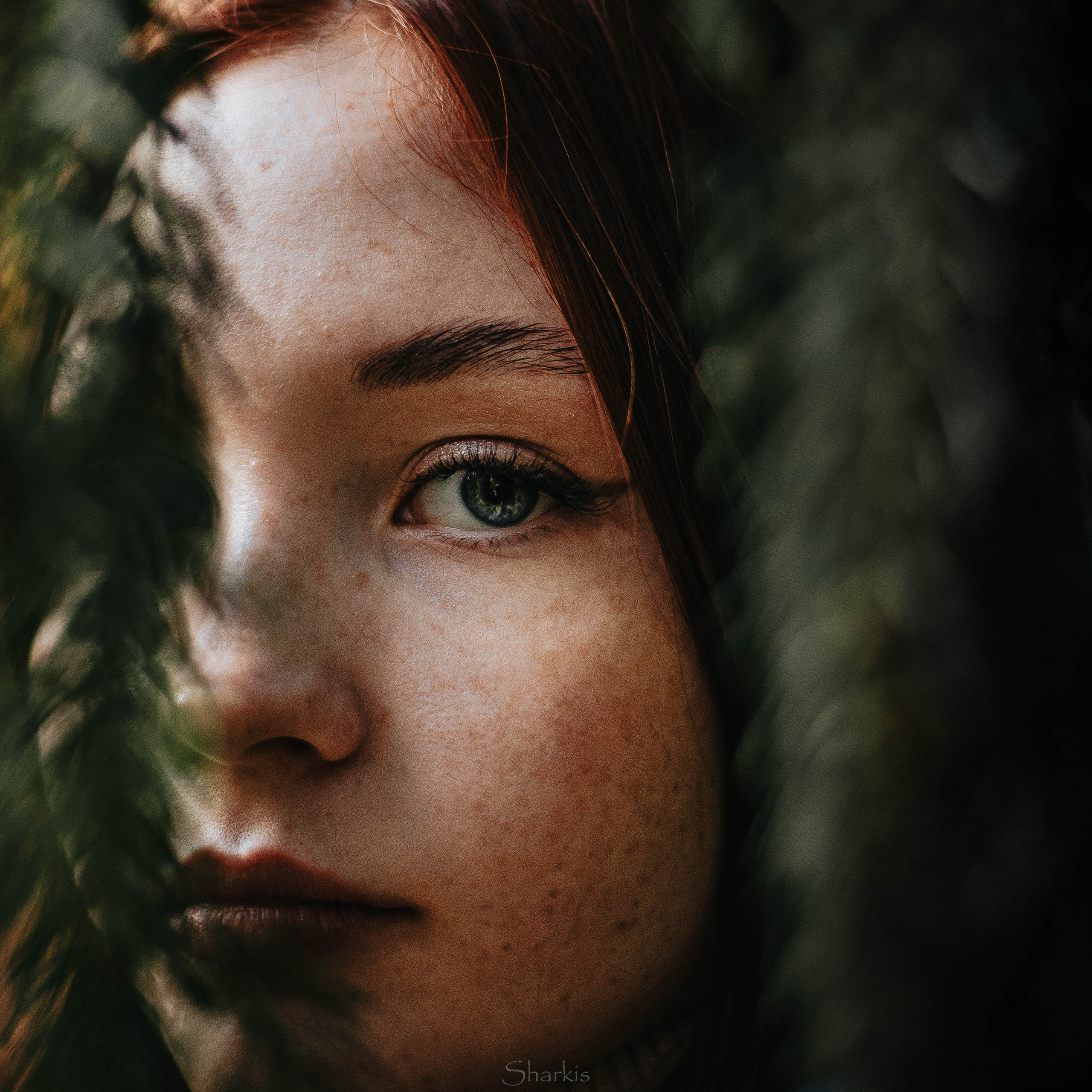 Света. Главная