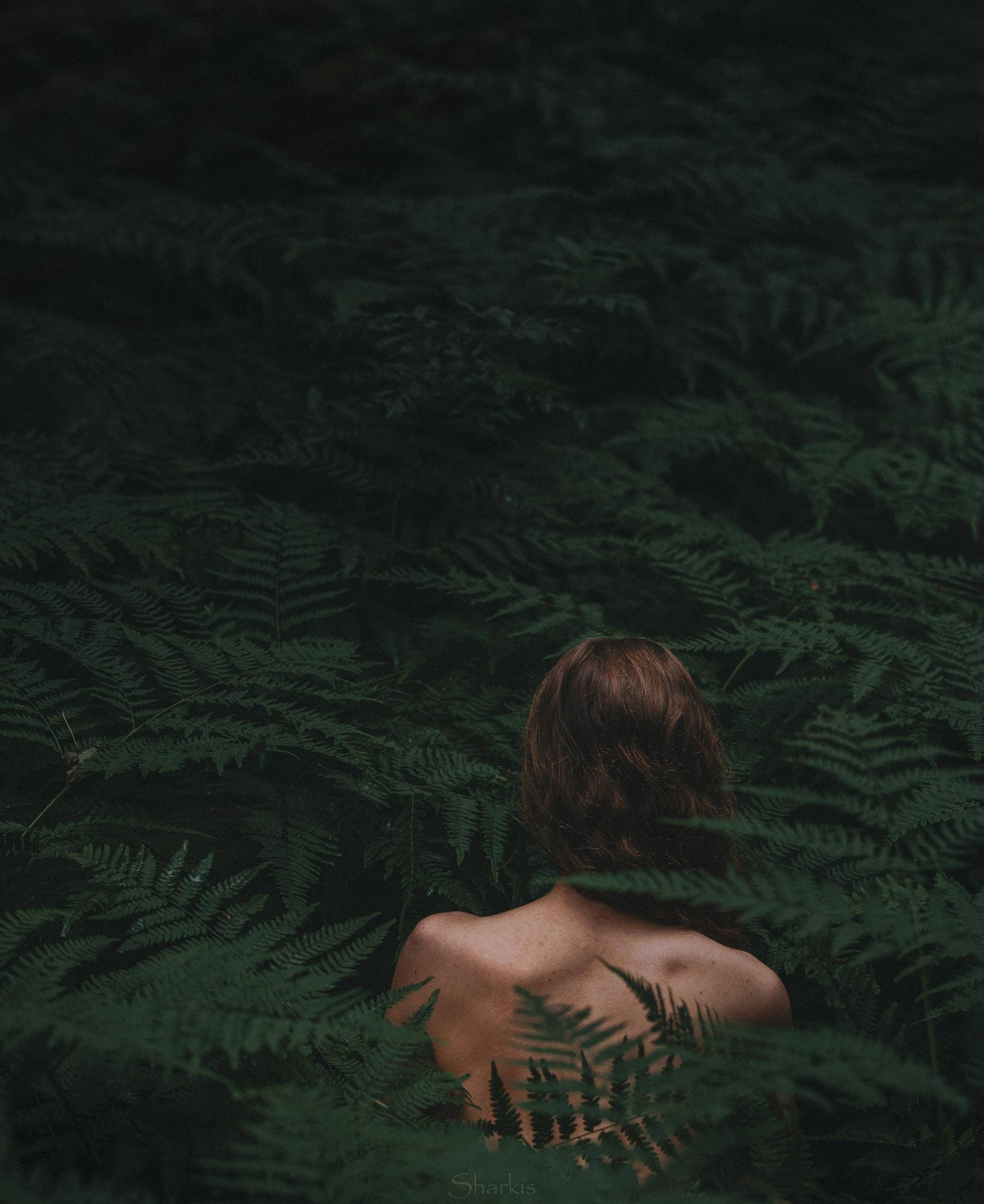 Лиза и Чарли. Главная