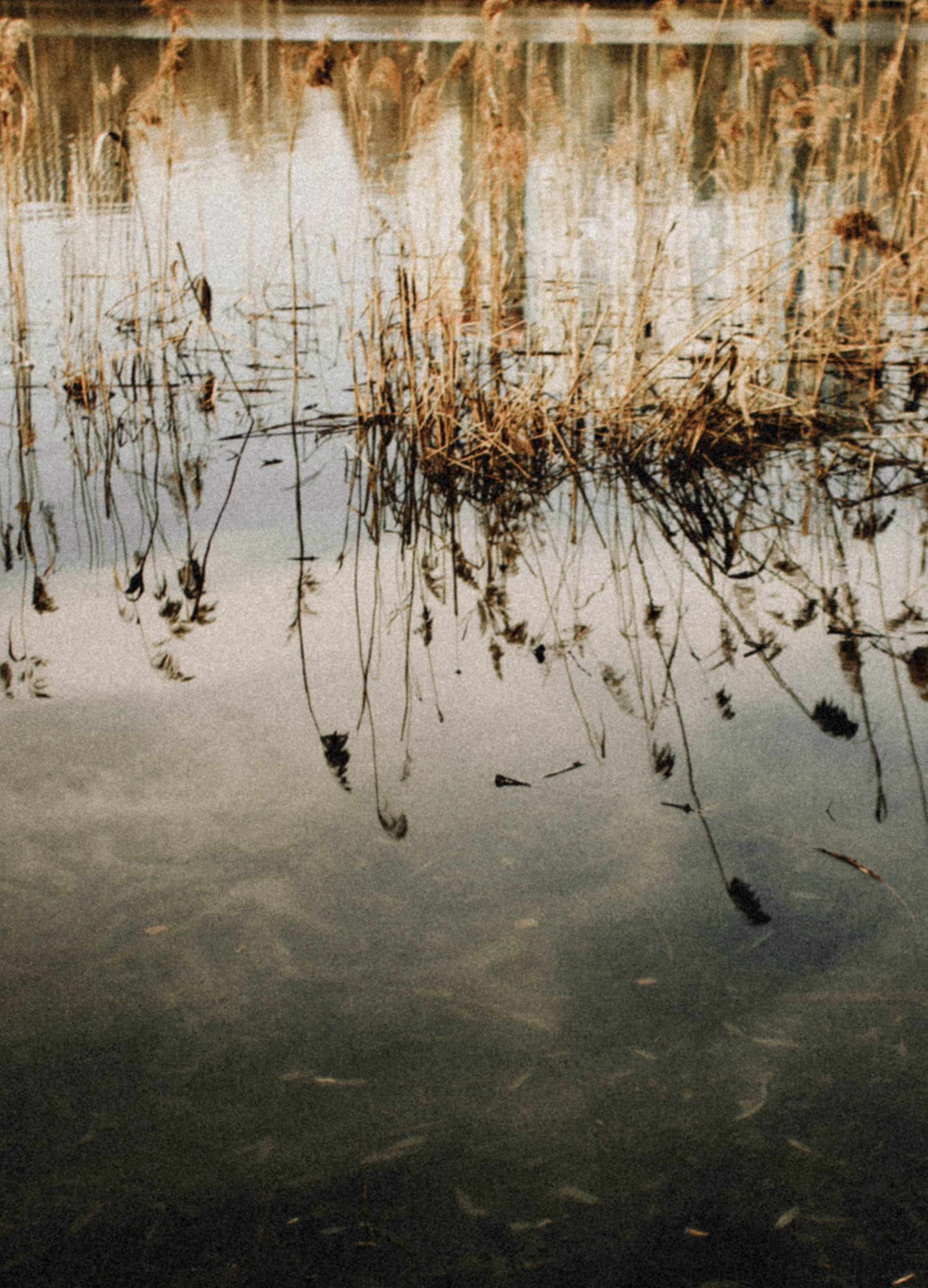 Юля Апрель. Фотограф в Нижнем Новгороде