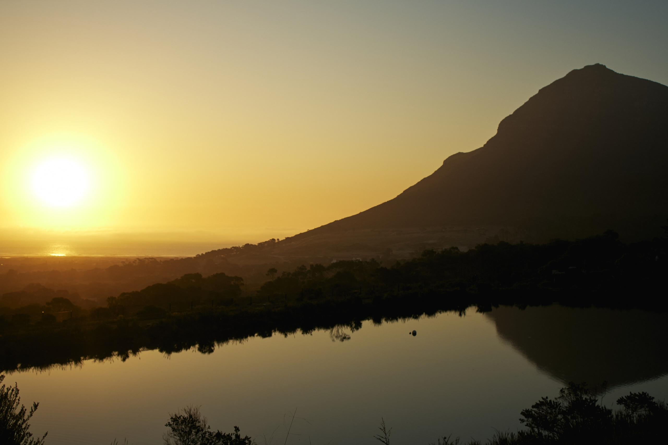 ЮАР. Профессиональный Фотограф во Владимире, в Москве и в Суздале — Полина Романычева