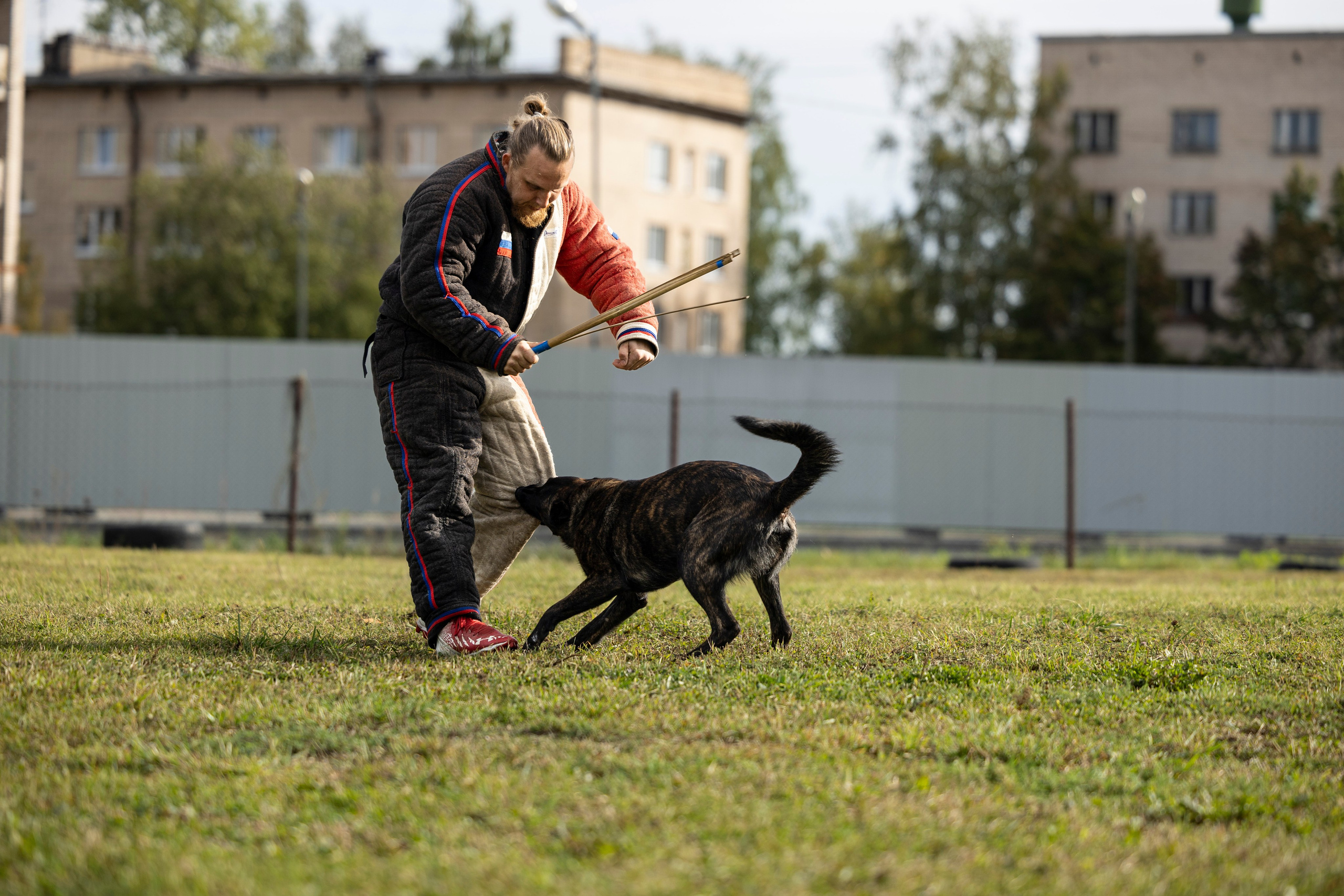 Испытания по Мондьорингу г. Пушкин. Фотограф-анималист Анна Маринич