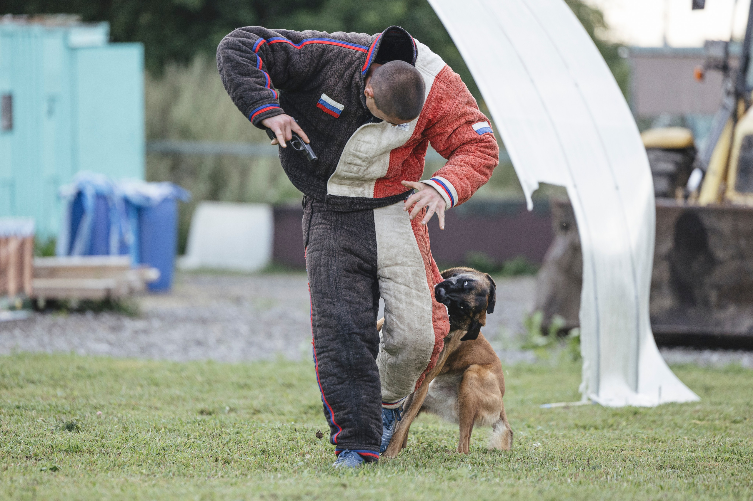 08.08.25-10.08.25 ЧР по мондьорингу г. Вологда. Фотограф-анималист Анна Маринич