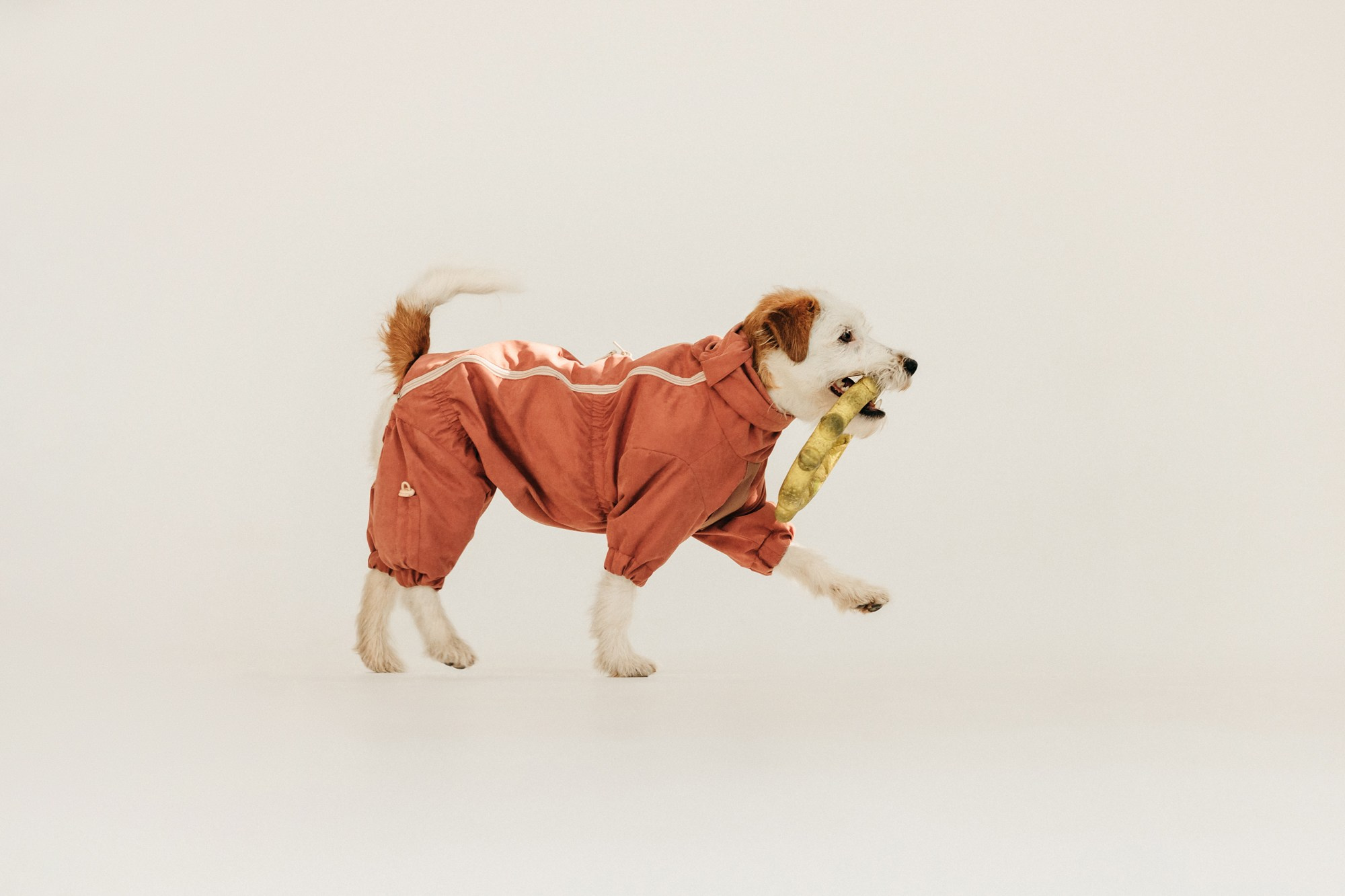 Одежда Lapa`s brand. Фотограф-анималист Елена Радченко, Москва