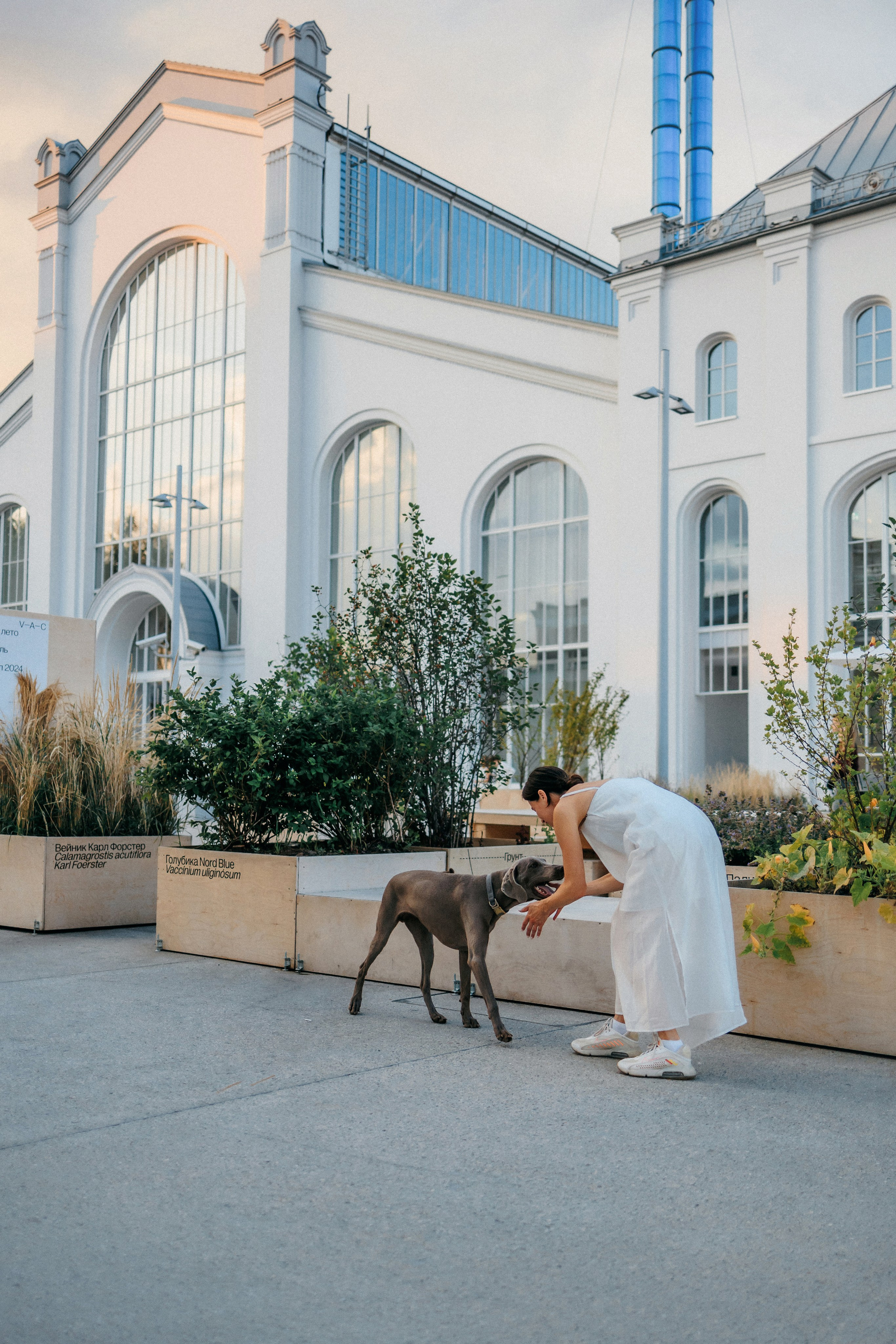 Соня и Майли. Фотограф-анималист Елена Радченко, Москва