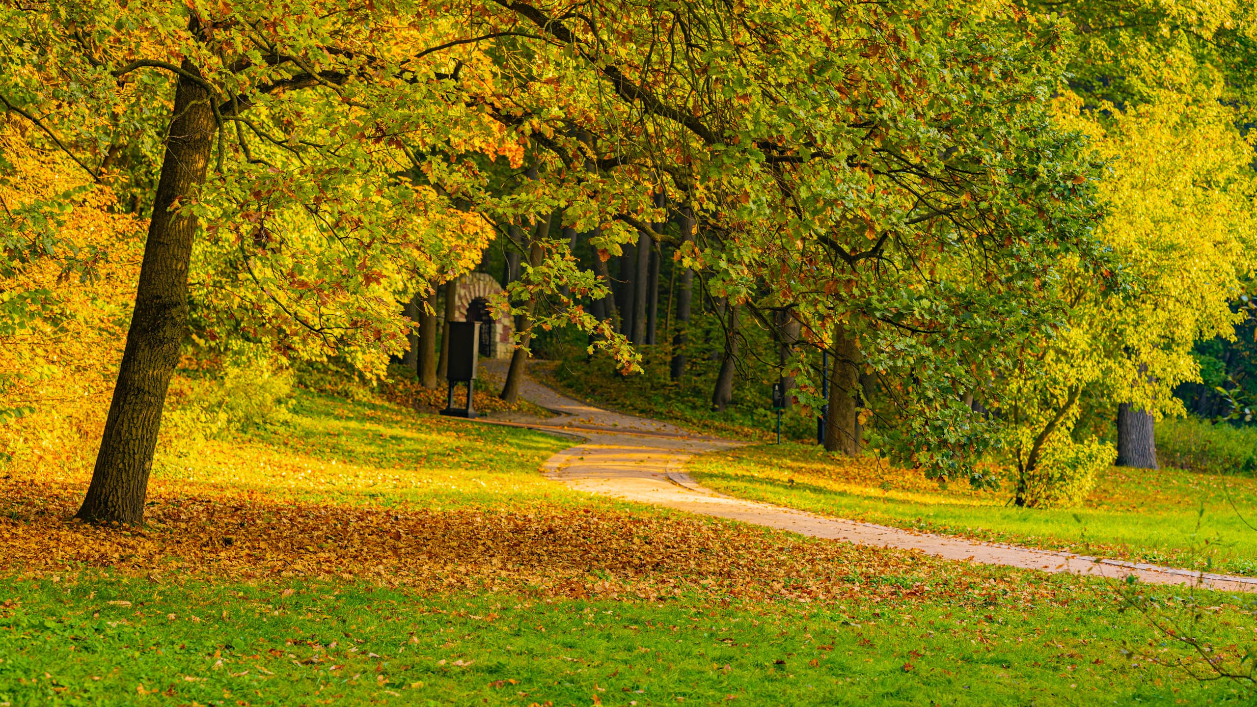 2023 09 Царицыно. Фотографии