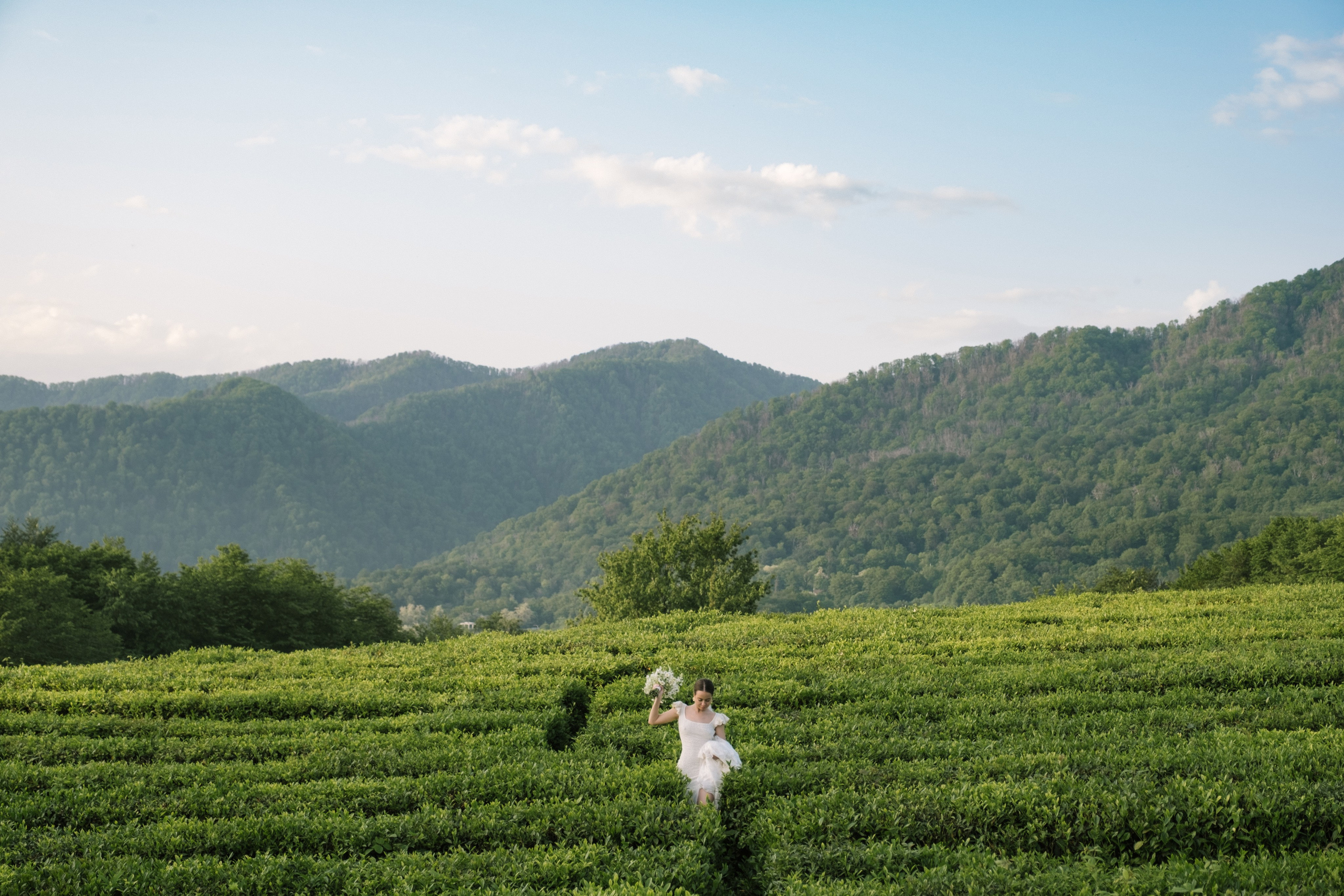 Видеограф Фотограф в Сочи