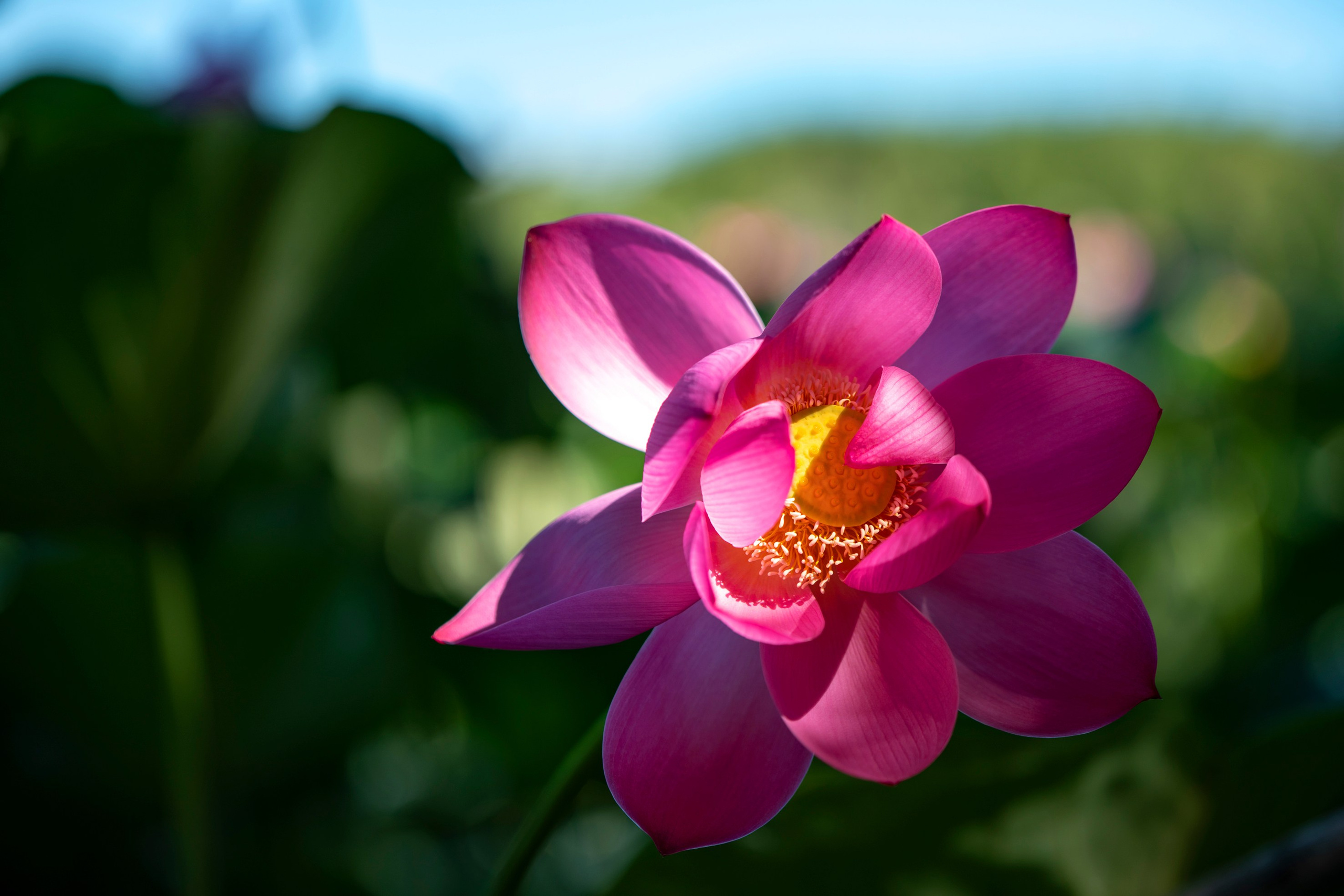 Природа Хабаровского края. Команда фотографов Кристины Ивановой