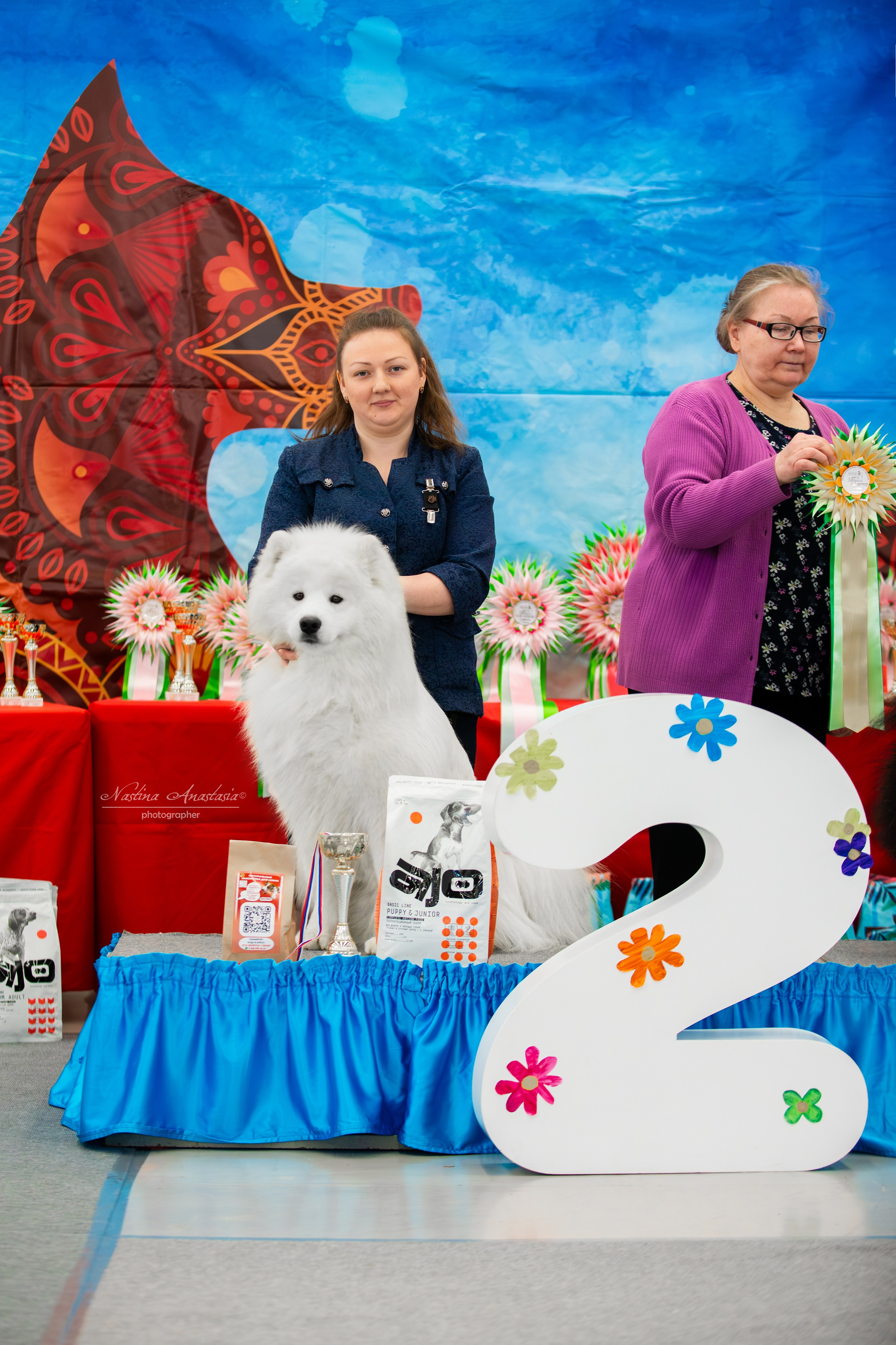 Выставки. Фотограф — Анималист