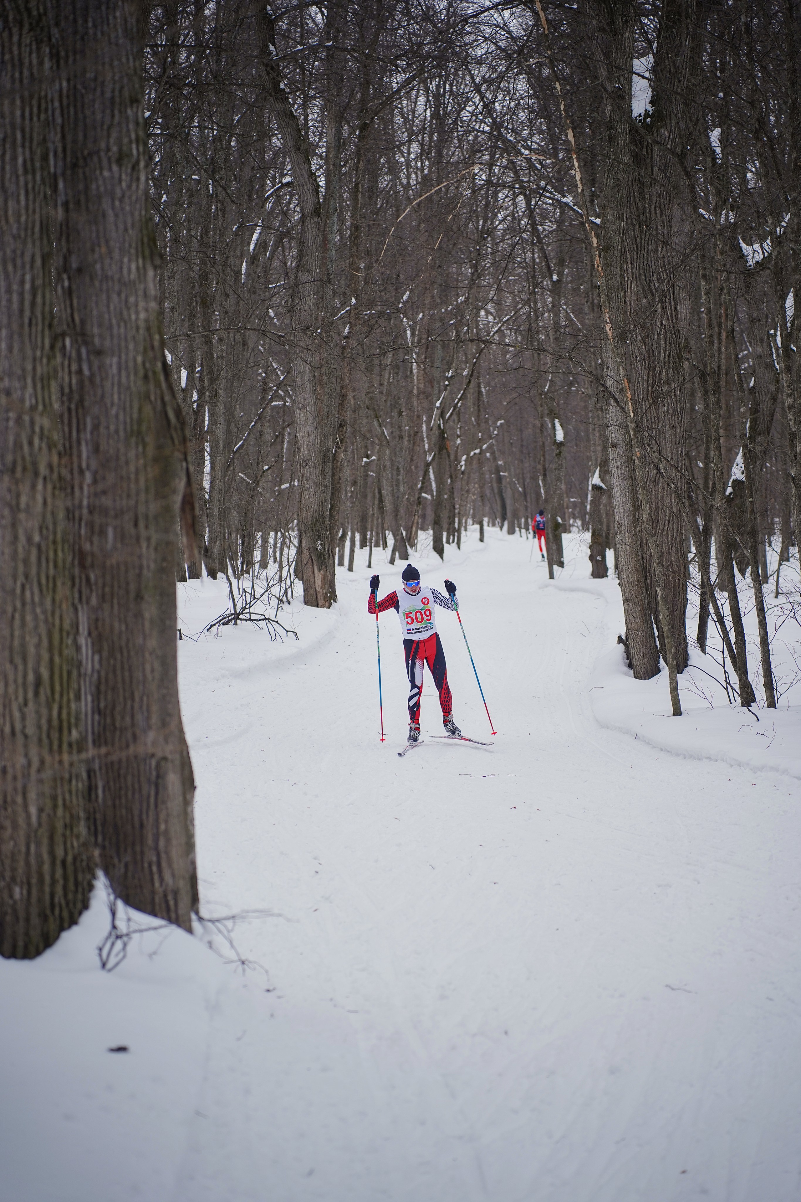 4-й BASHKIR-SKI Лыжный Сверхмарафон 100 км. Pupov.png
