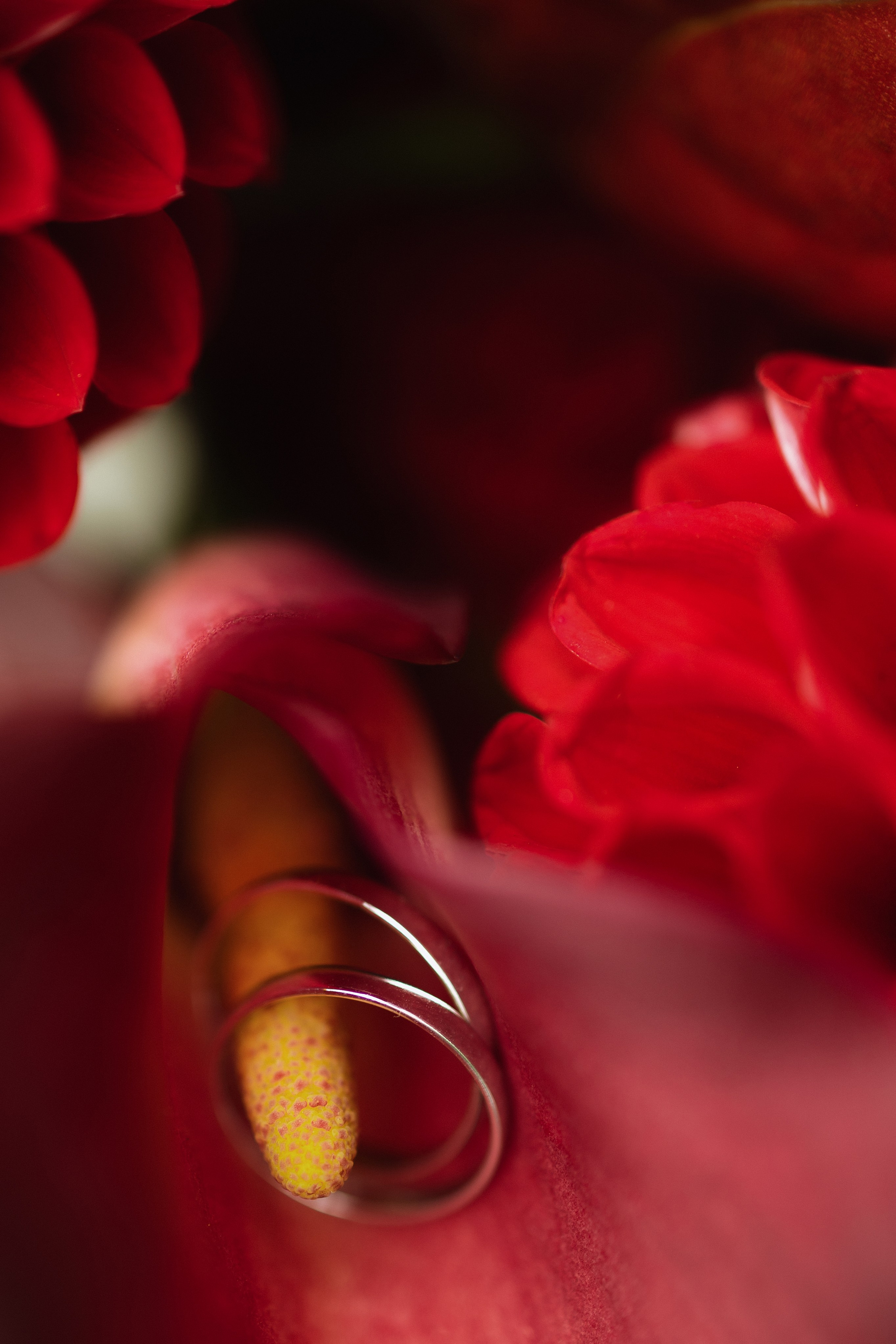 I&M. Свадебный фотограф Лиза Макатович Беларусь Минск