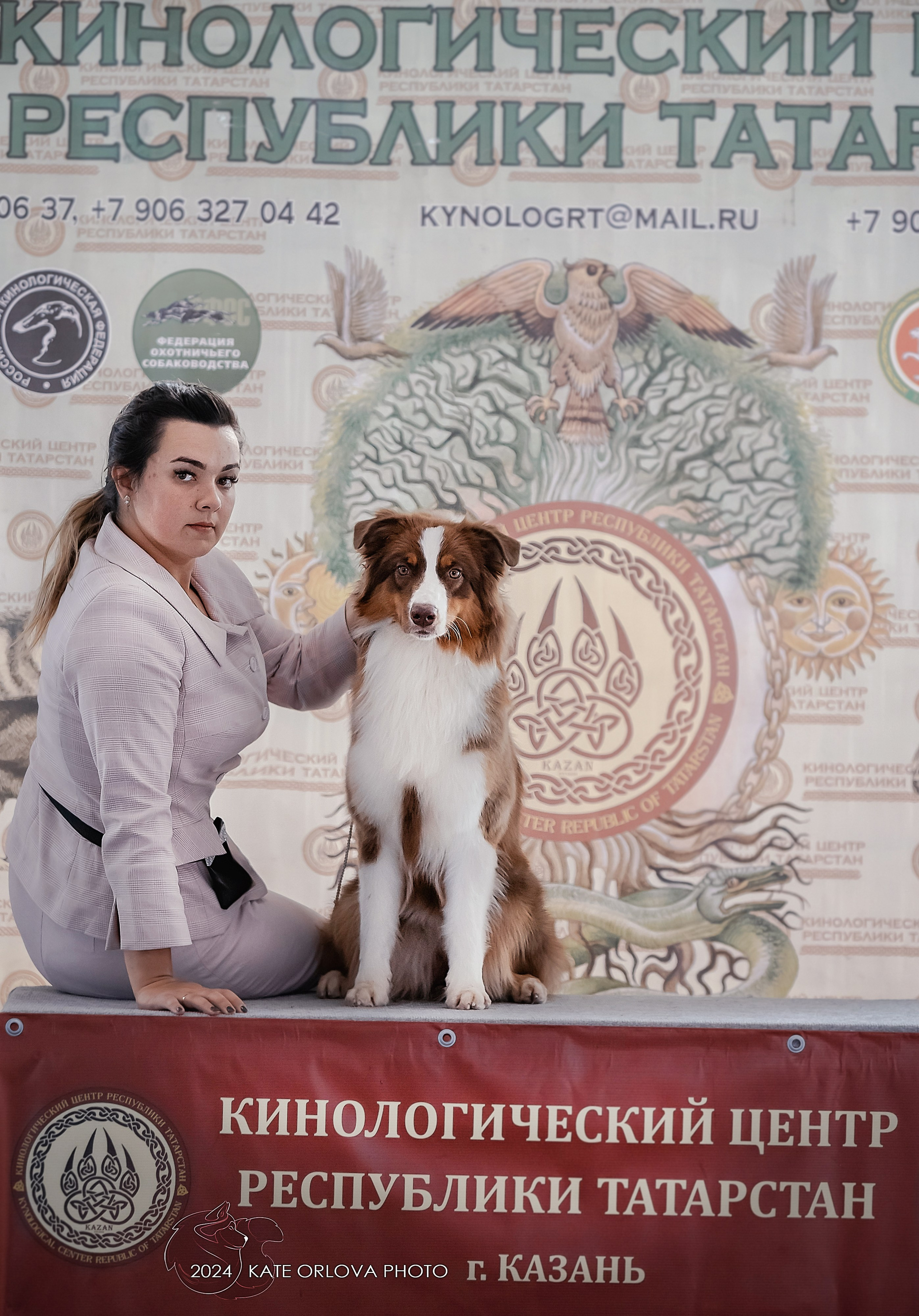 Фотосъемка собак, щенков, на выставках, фотограф анималист Россия воронеж. Питомник собак Акита, Хаски, Корги