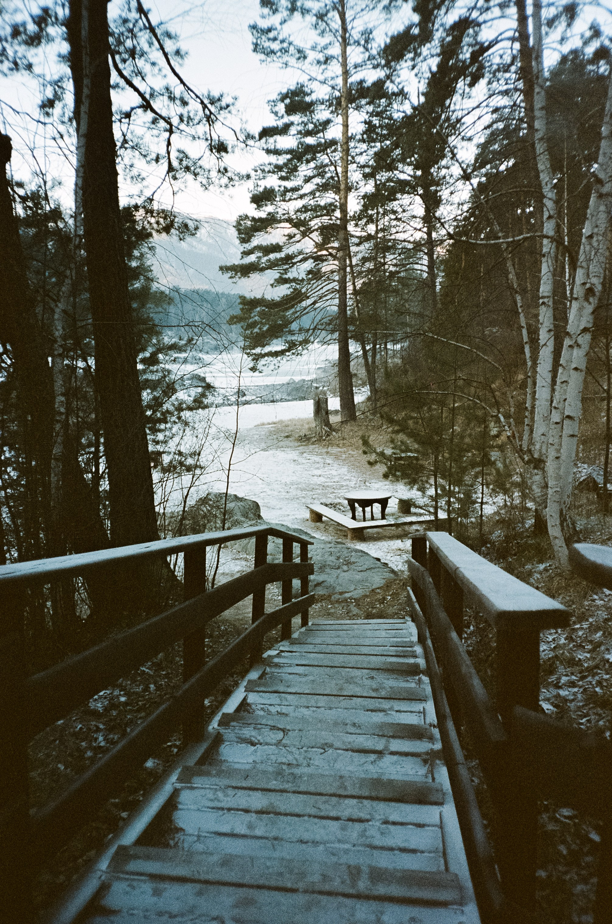 Кедровый остров в суровый мороз. Фотограф-документалист Мария Осокина