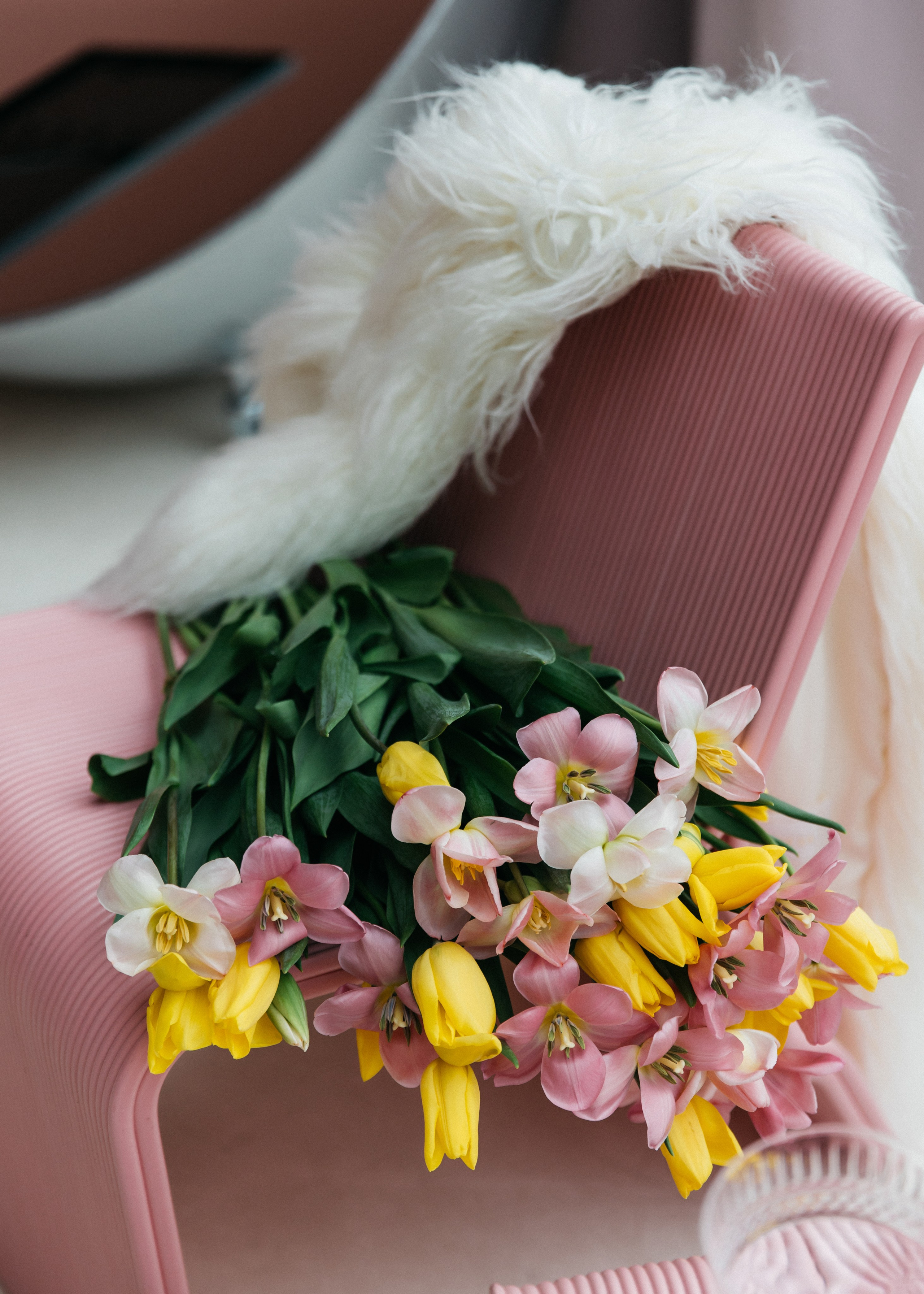 Юля Денис Алена. Свадебный и семейный фотограф в Москве Холда Тати