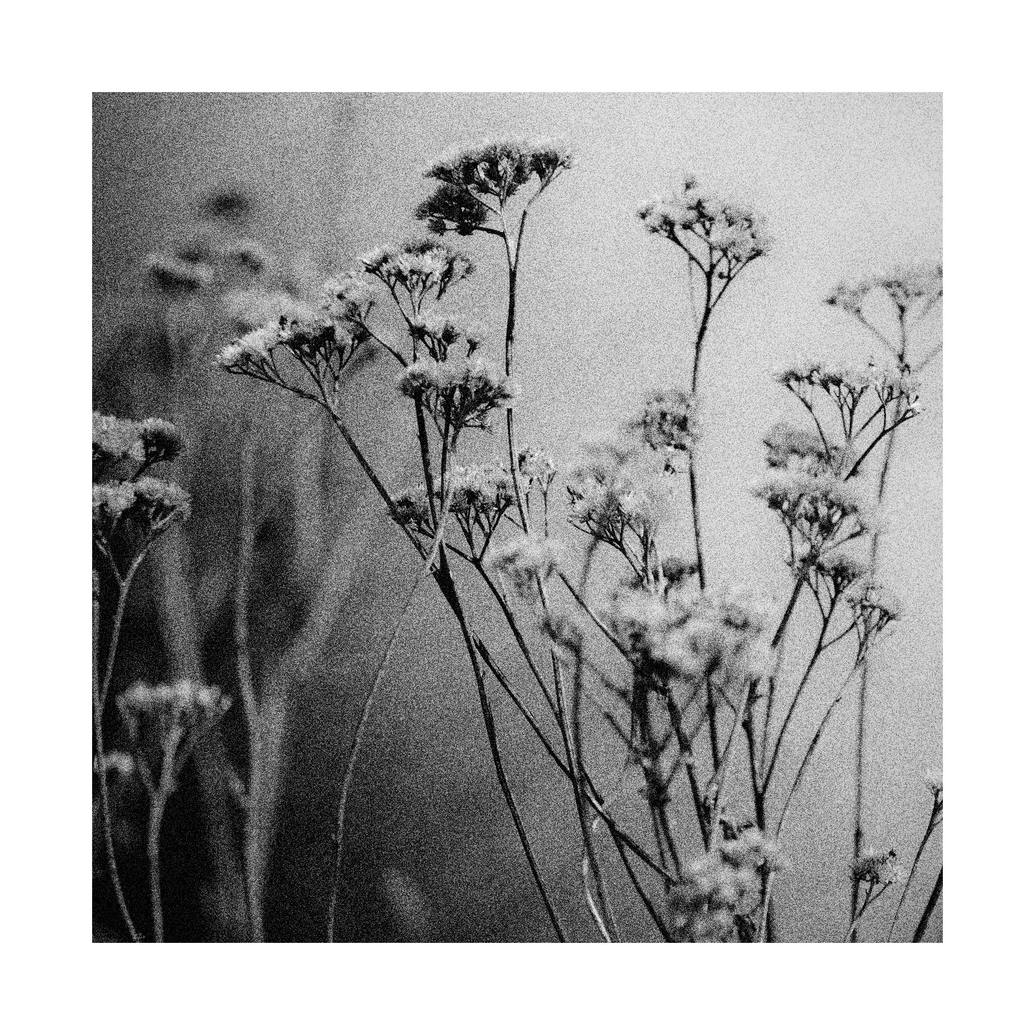 Dark arts. Уральский фотограф