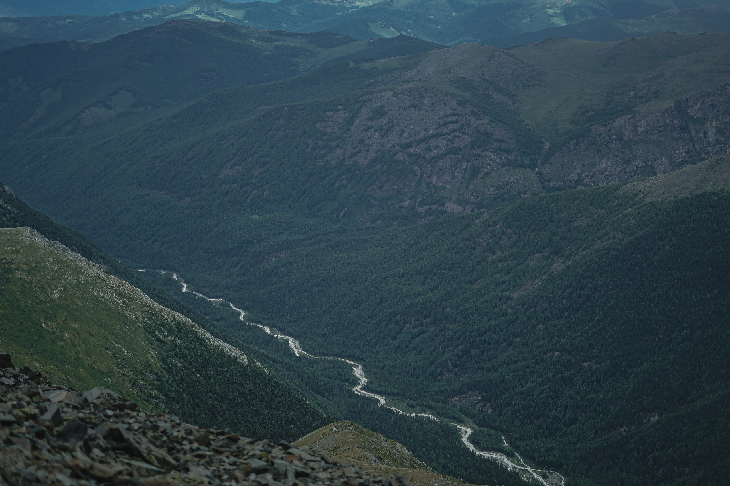 Алтай, поход к Белухе 2023. Фотограф Ольга Пучкова