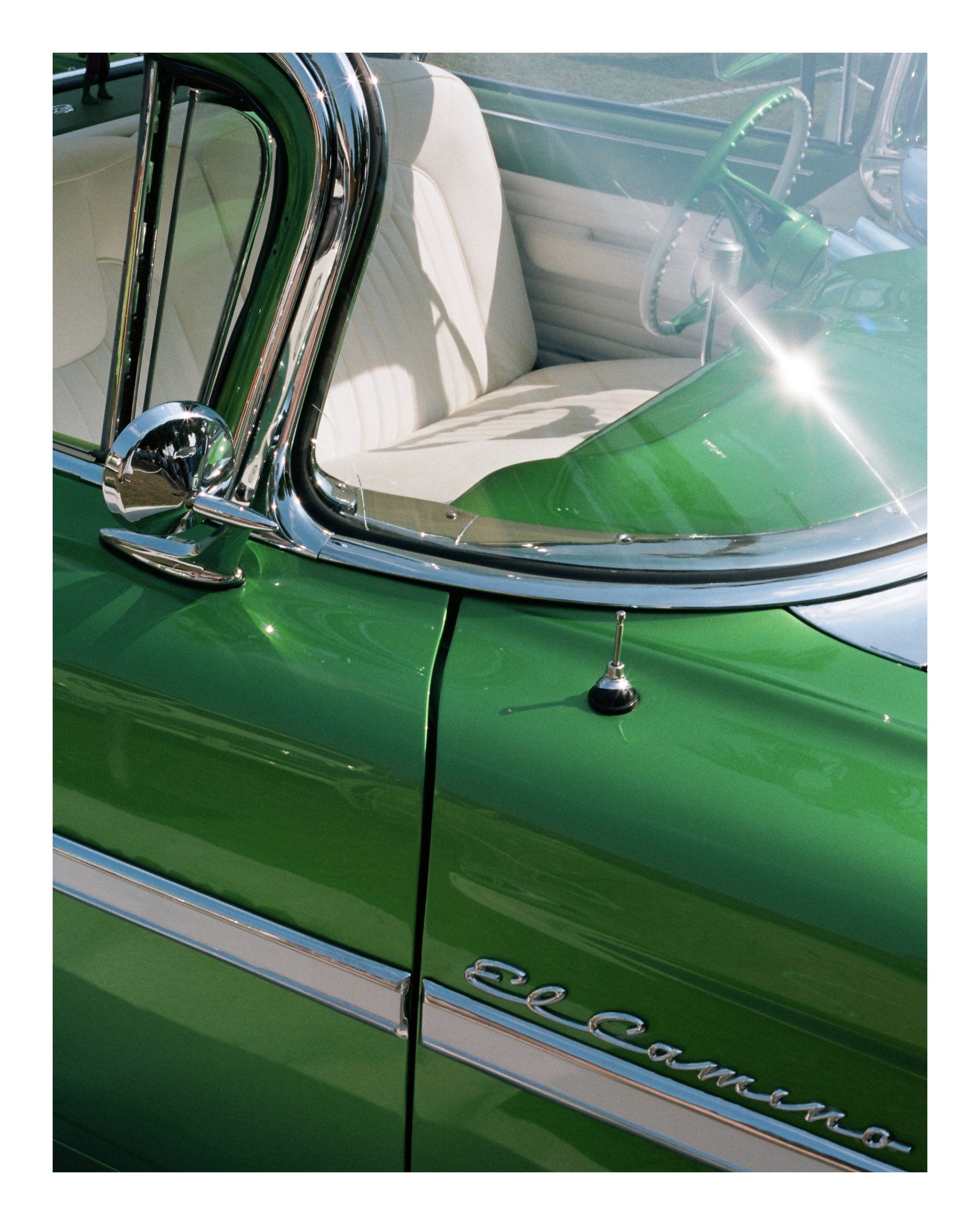 The Grand Picnic (35мм). Katyavasileva