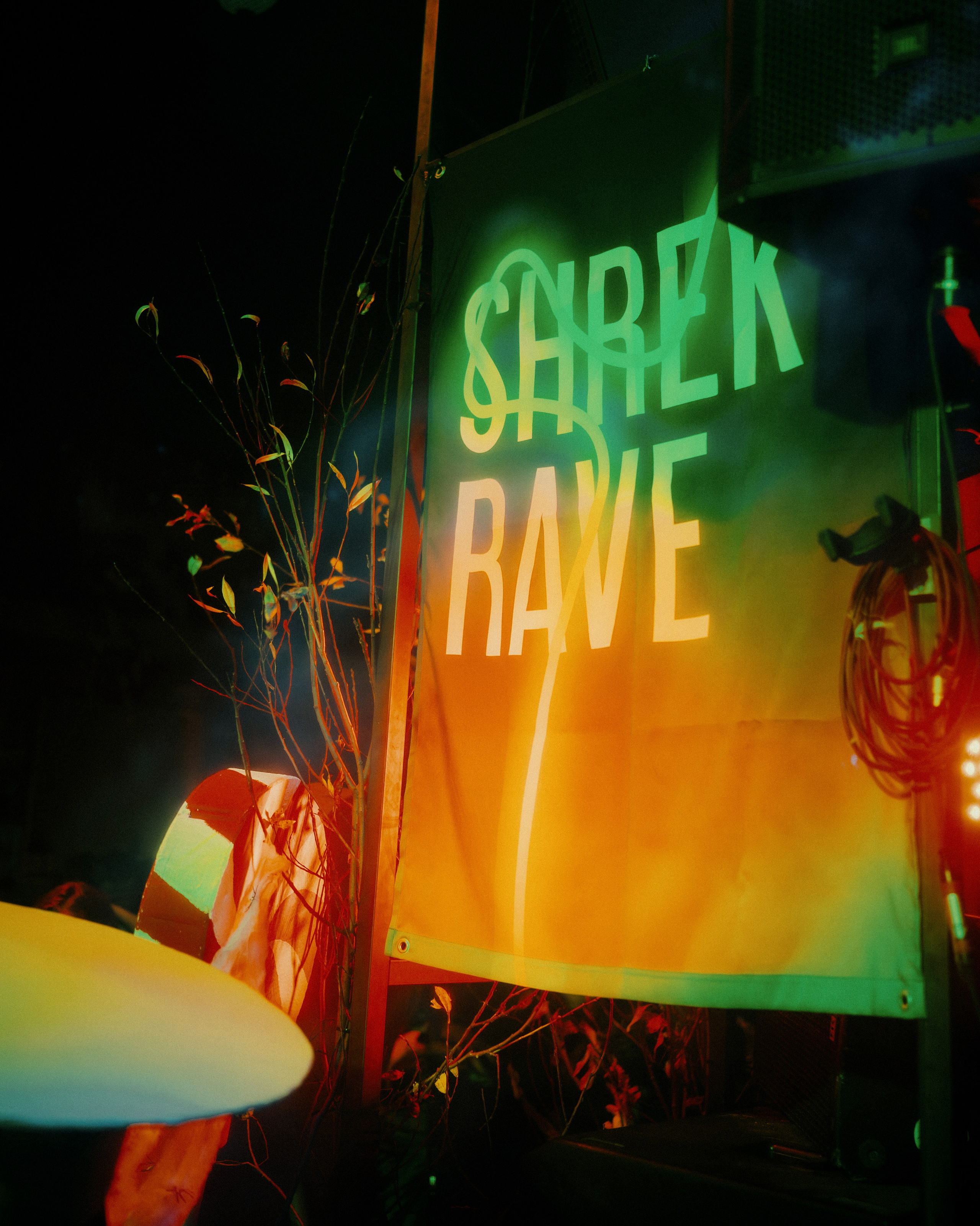 Shrek Rave 2. Кутнов Владислав | Портретная и городская фотосессии | Санкт-Петербург