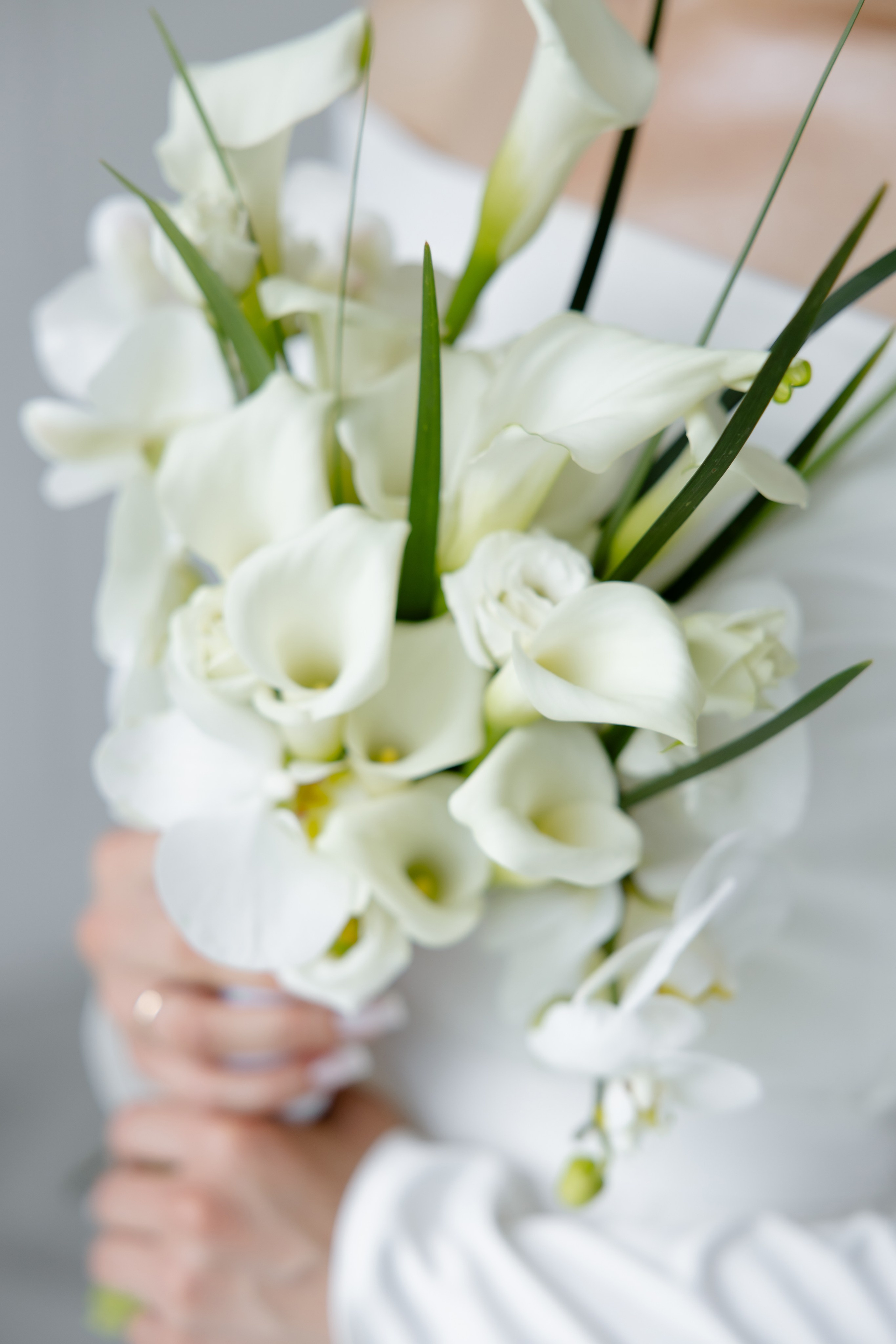 Илья и Евгения. Свадебный фотограф Анна Бабахина