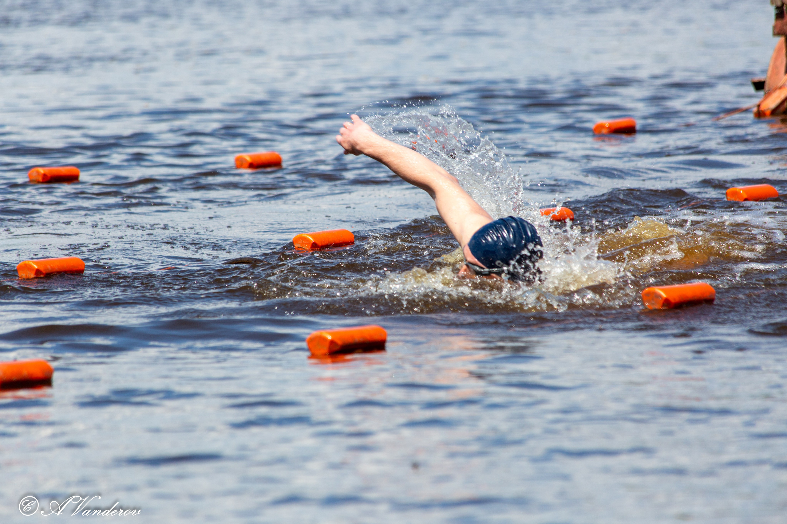 Заплыв 02.06.2024. Фотограф Омск | Александр Вандеров