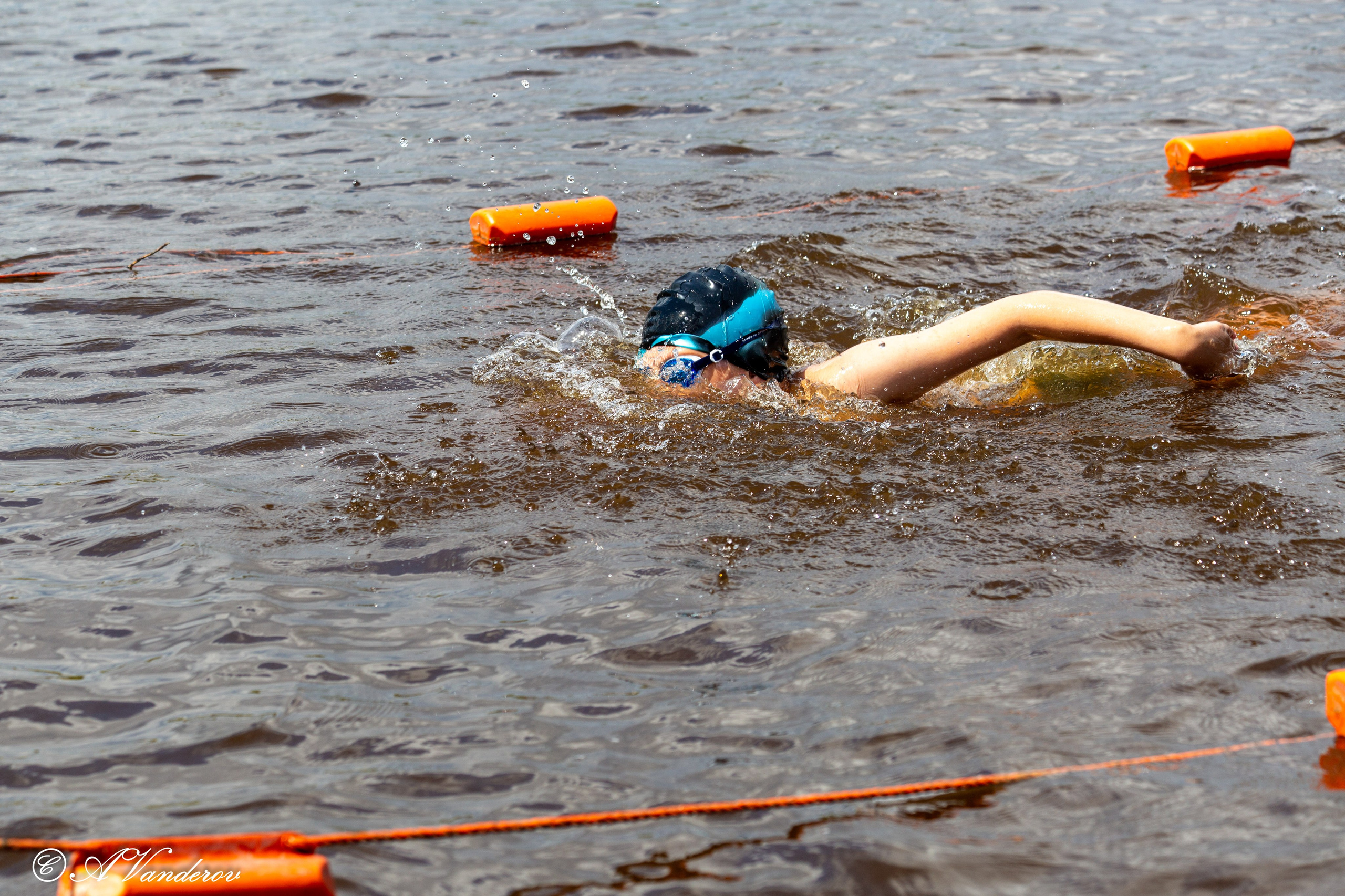 Заплыв 02.06.2024. Фотограф Омск | Александр Вандеров