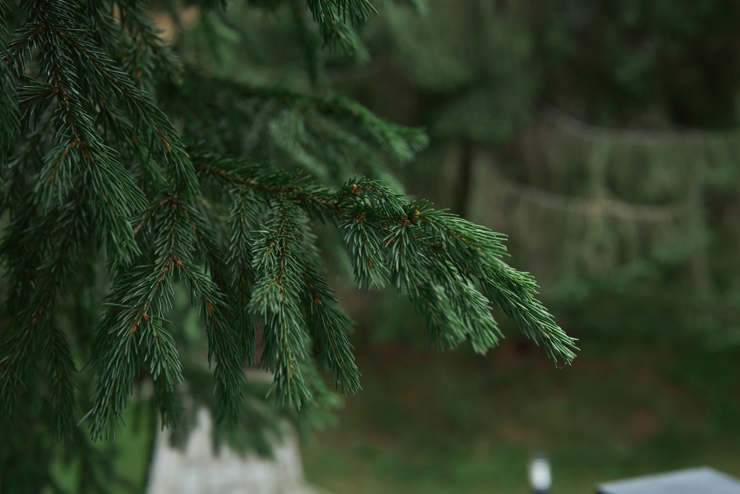 Сергей&Ирина. Николай Большаков