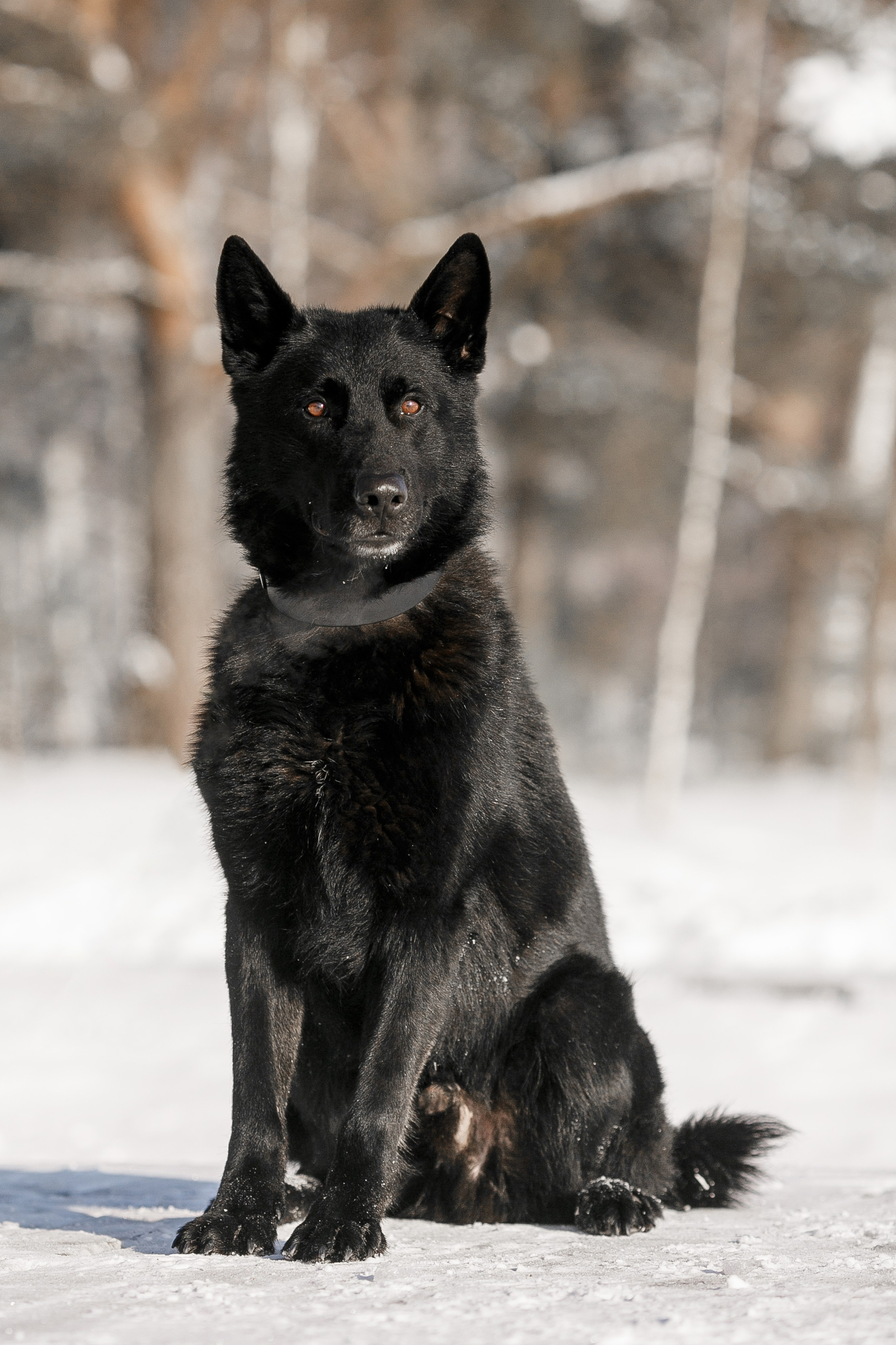 Репортажный фотограф Борис Геер