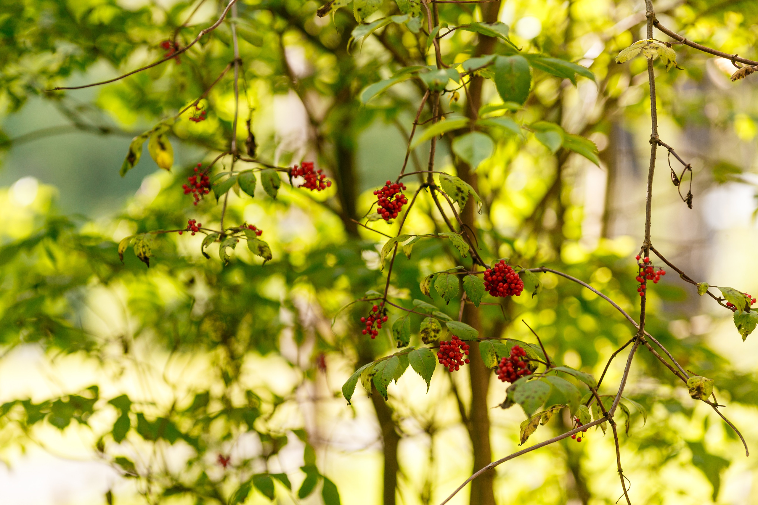 Фотосъемка тимбилдинга для компании SmartLog. Репортажный фотограф Борис Геер