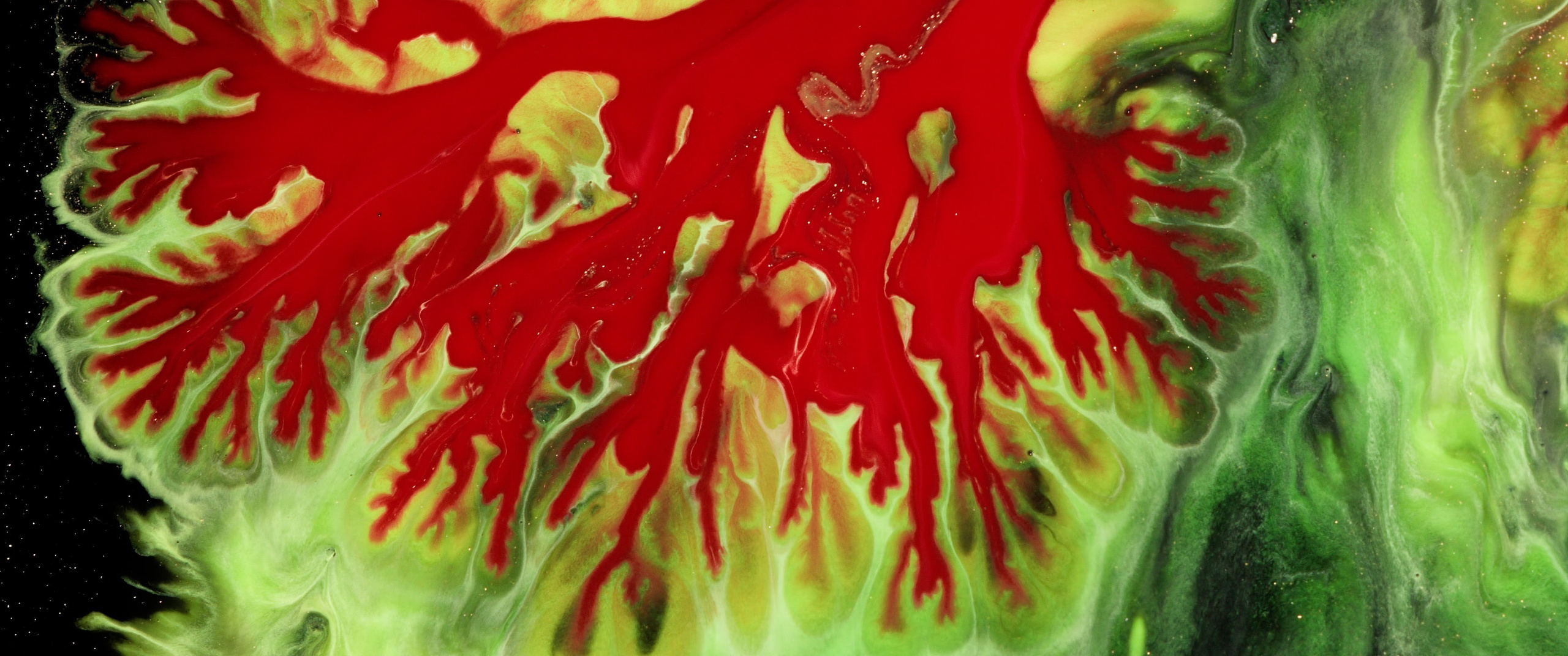 Genesis. Short films by Vadim Sherbakov