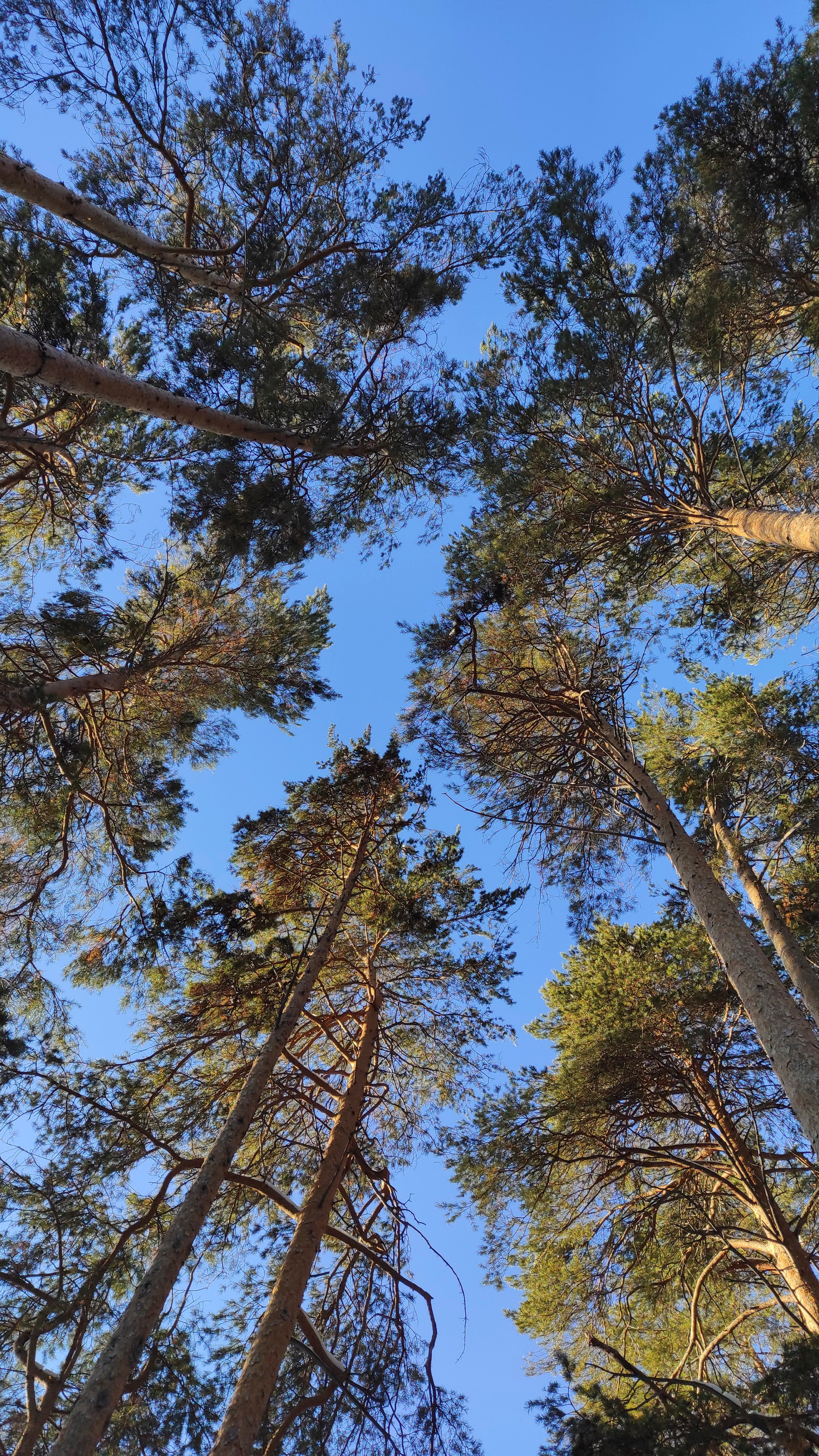 Вдохновение. Бутакова Елена фотограф в Екатеринбурге