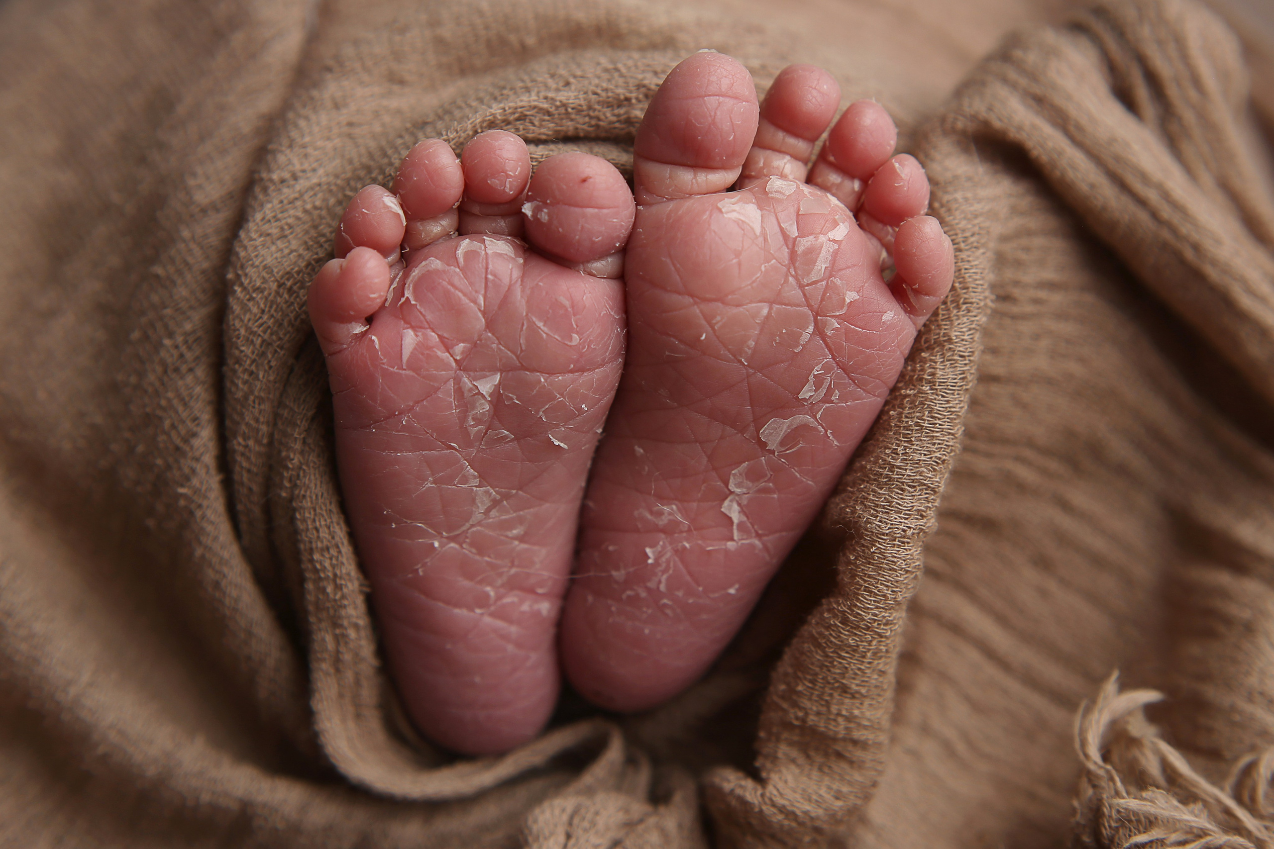 Александр (новорожденные). Главная