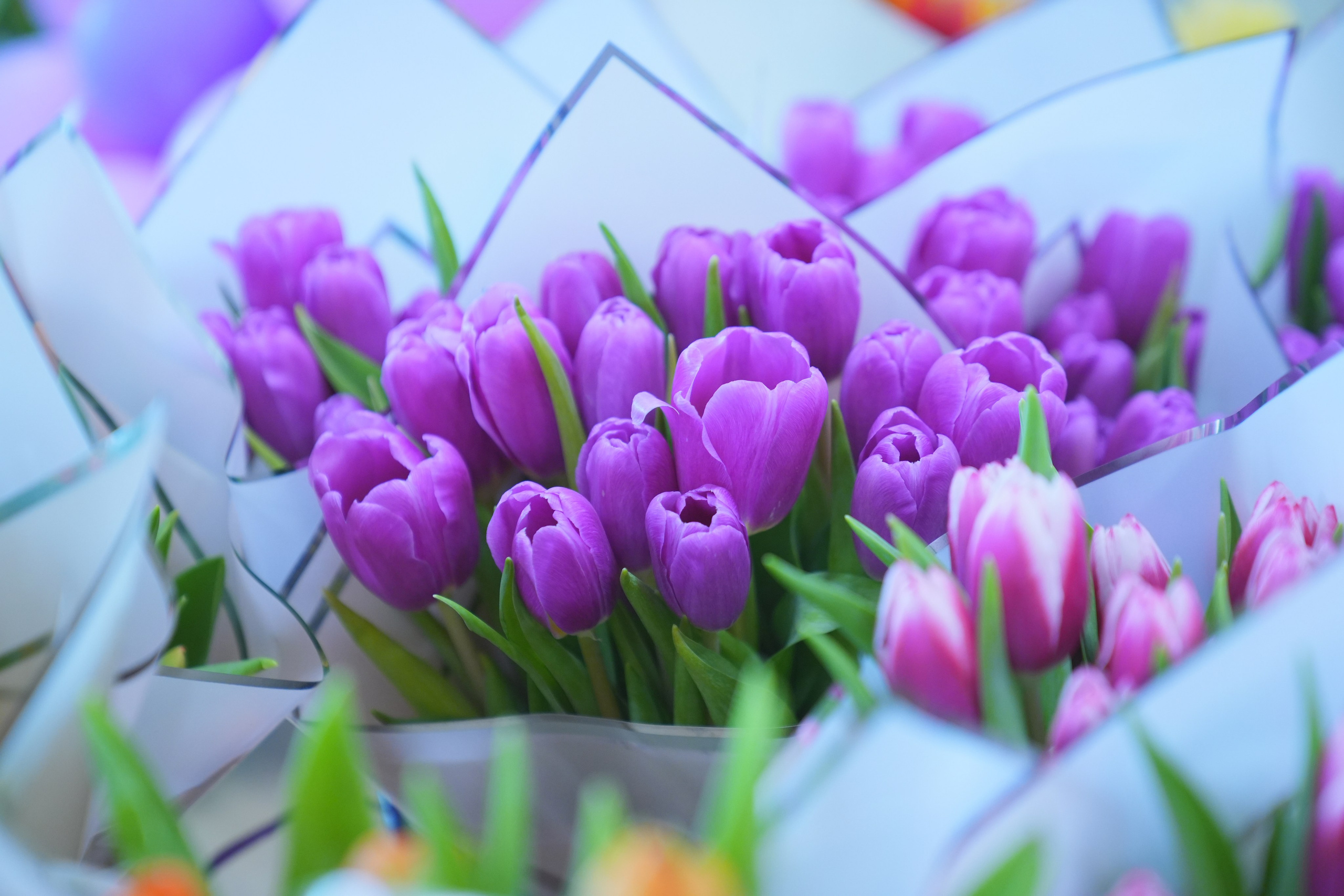 Еда, маркетплейсы, предметные и контент снимки. Репортажный фотограф в Калининграде Морозов Кирилл