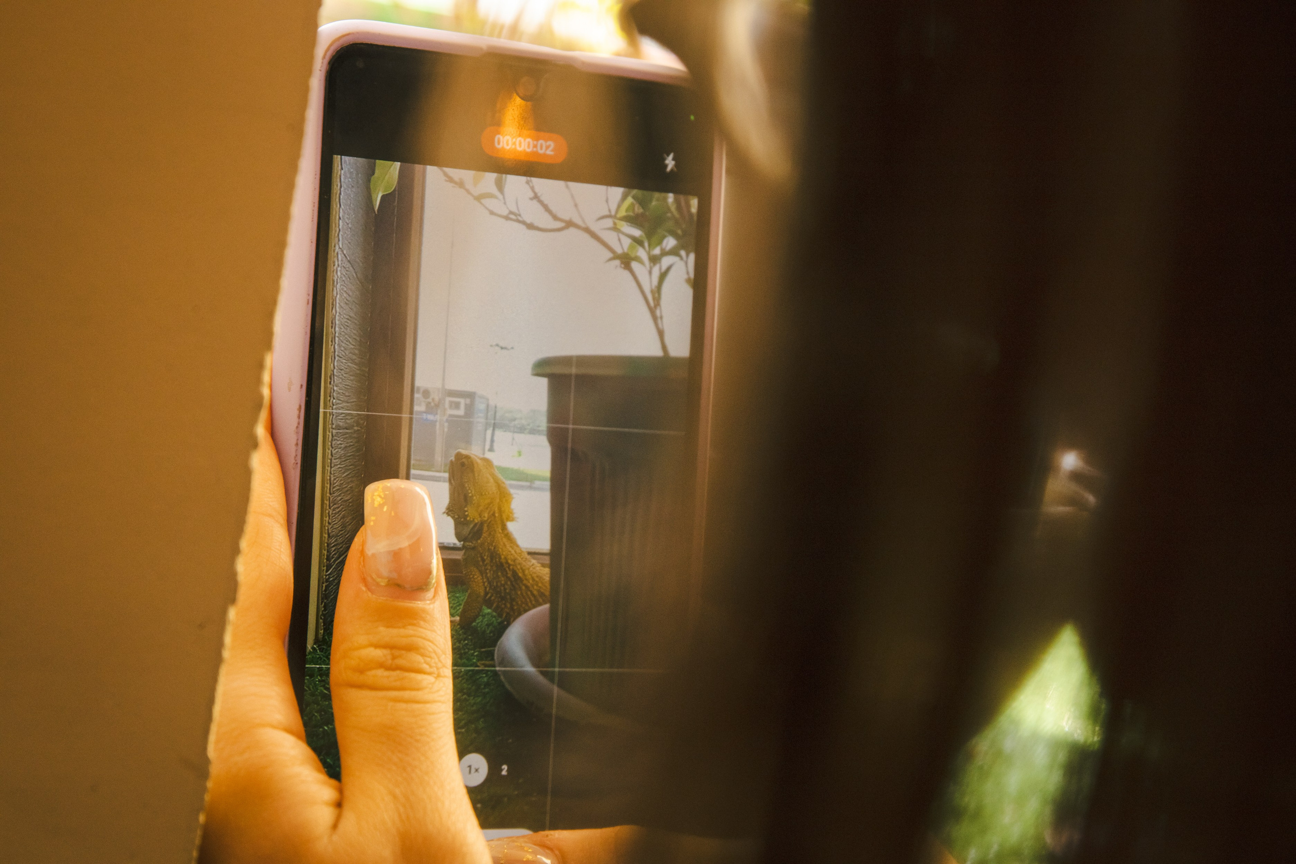 ComeBack «Stray Kids». Фотограф твоих воспоминаний | Алексей Алексеев