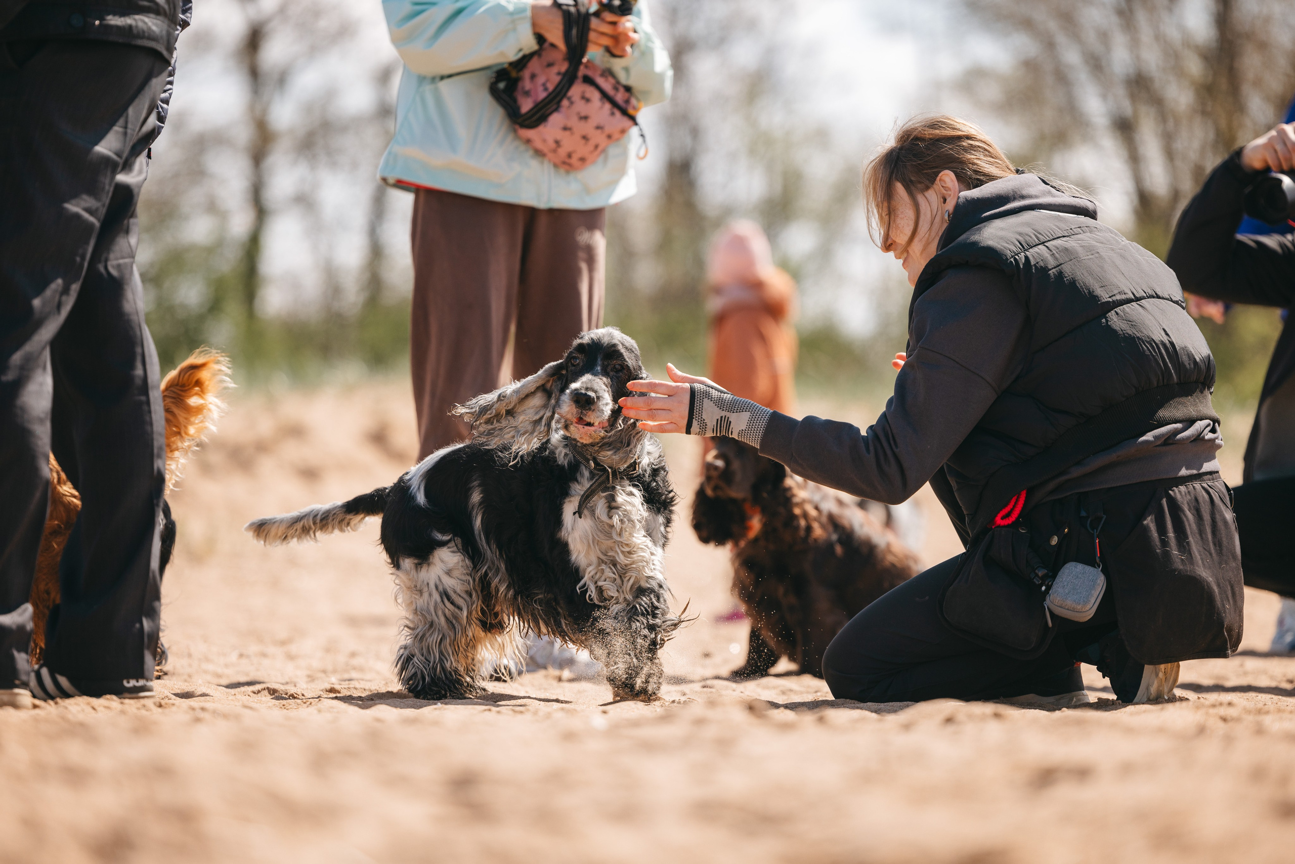 Спанимания. Фотограф анималист Осипчикова Мария
