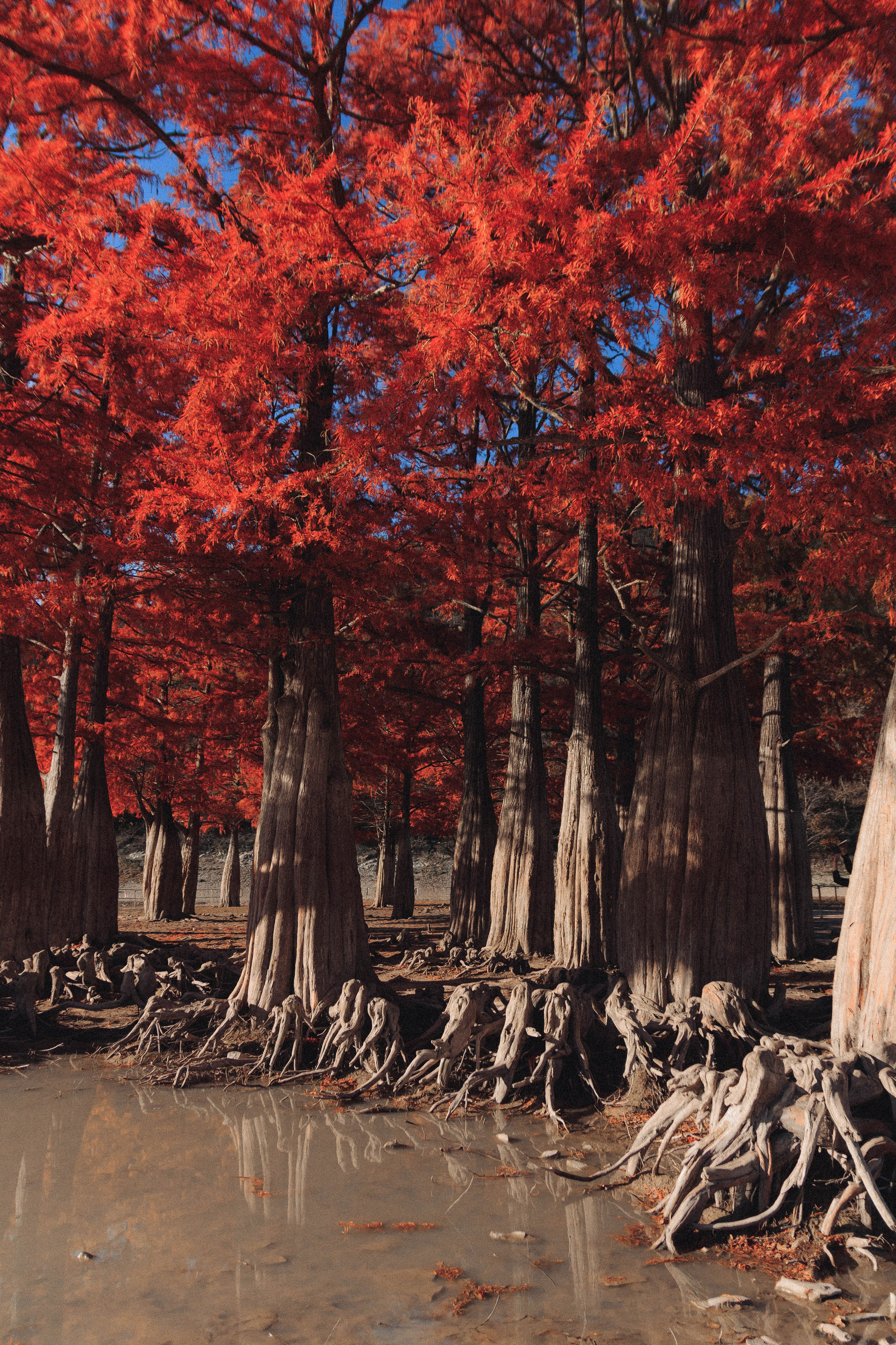 Ксюша и Яша. Фотограф в Краснодаре Ксения Мархинина