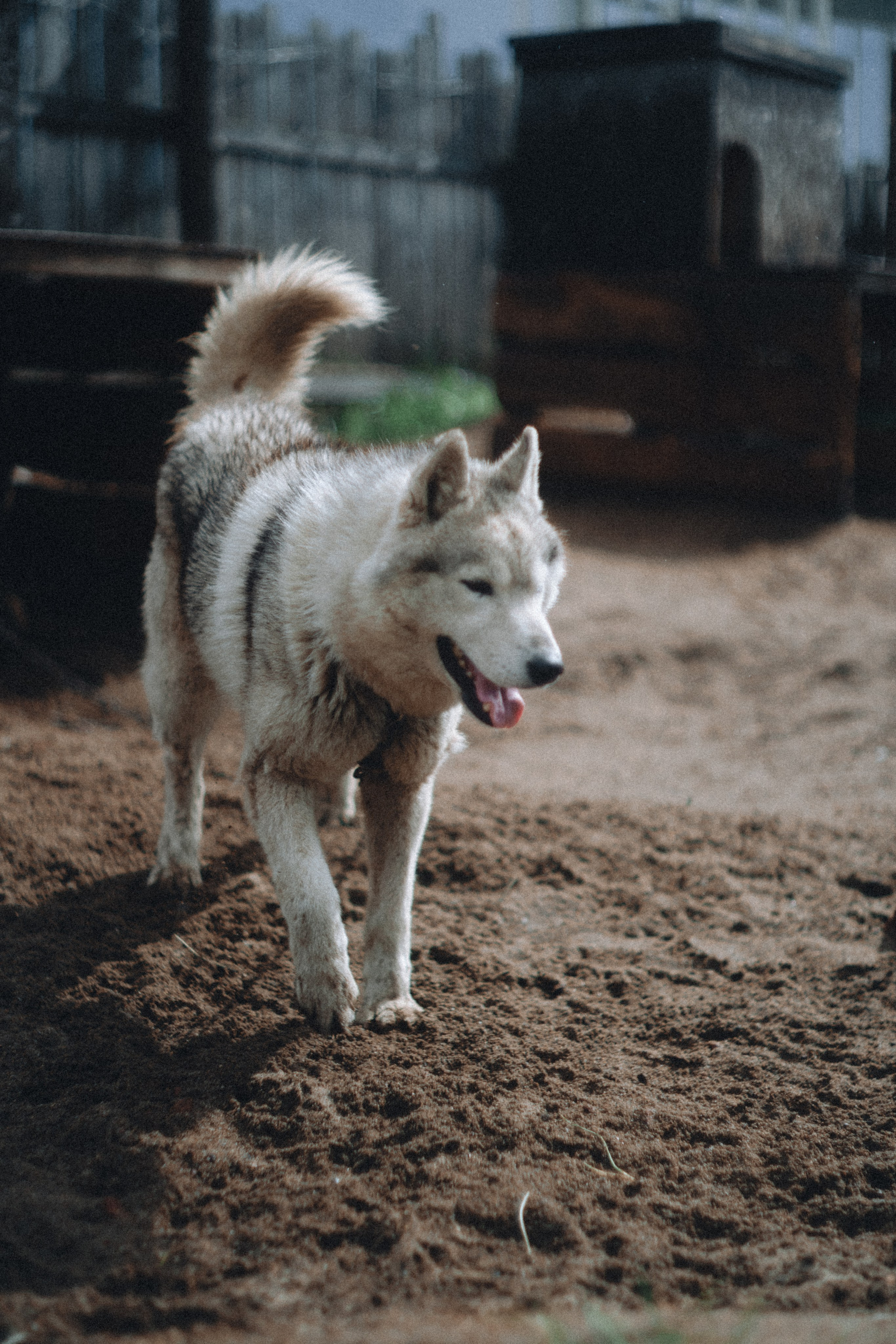 Териберка, Мурманск. Фотосъёмка для компании по организации туров в коллаборации с Яндекс 360