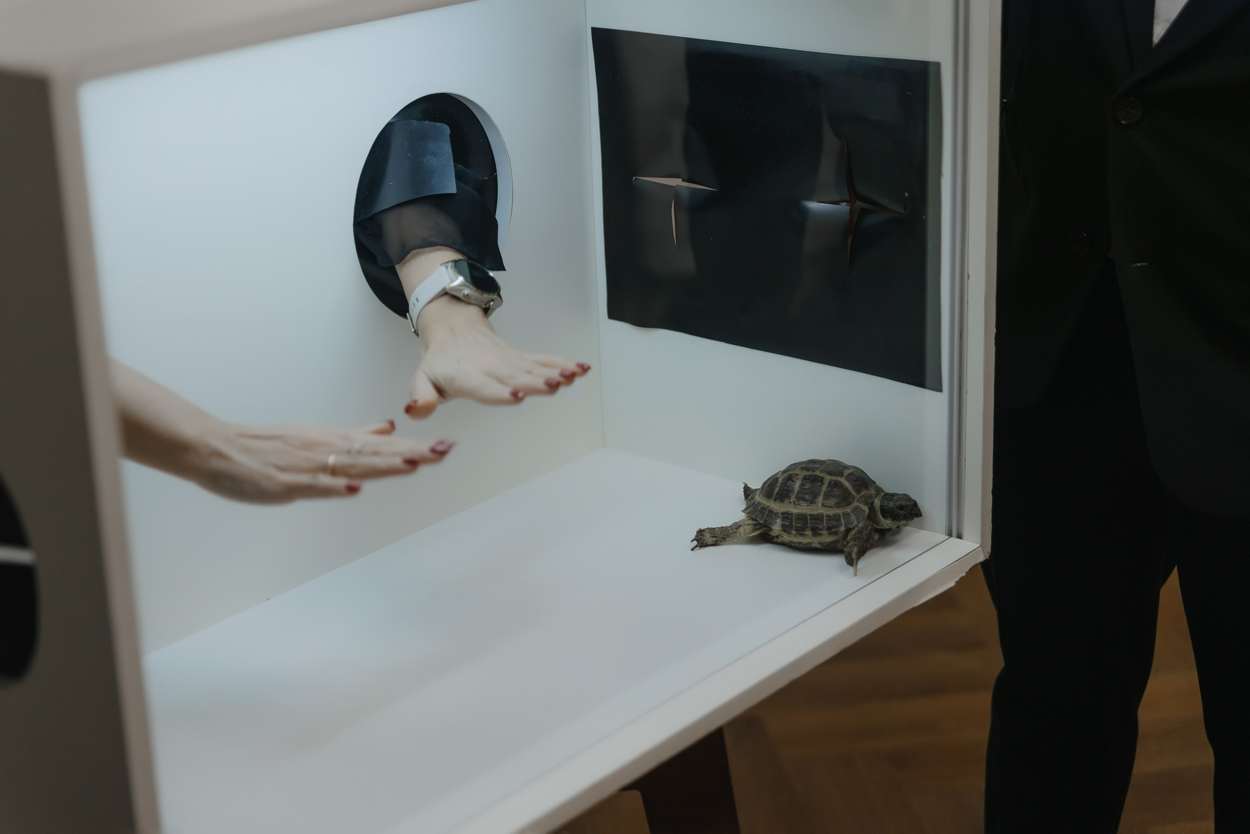 Открытие нового пространства интерьерного салона L. DECO в феврале 2025. L. Deco интерьерный салон. Краски/обои/лепной декор