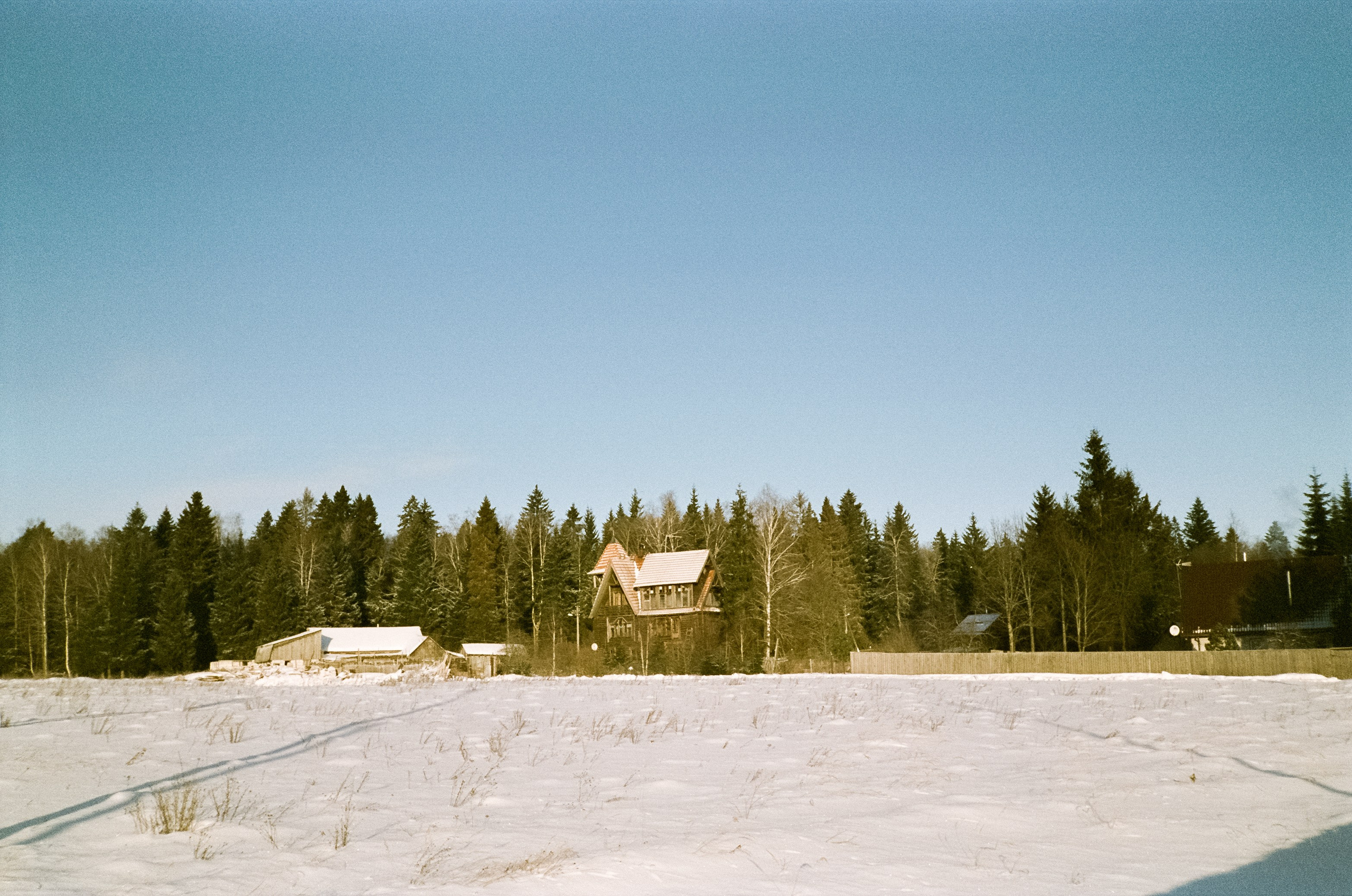 Chinon Auto 3001 (2) / Fuji Eterna 250D (ISO 100) / Давыдовское, Лукин