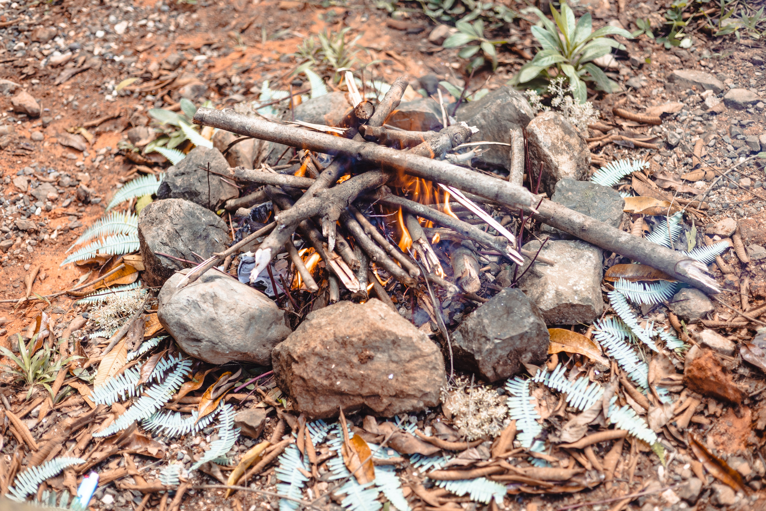 Rituals with a nature to clean ourselves