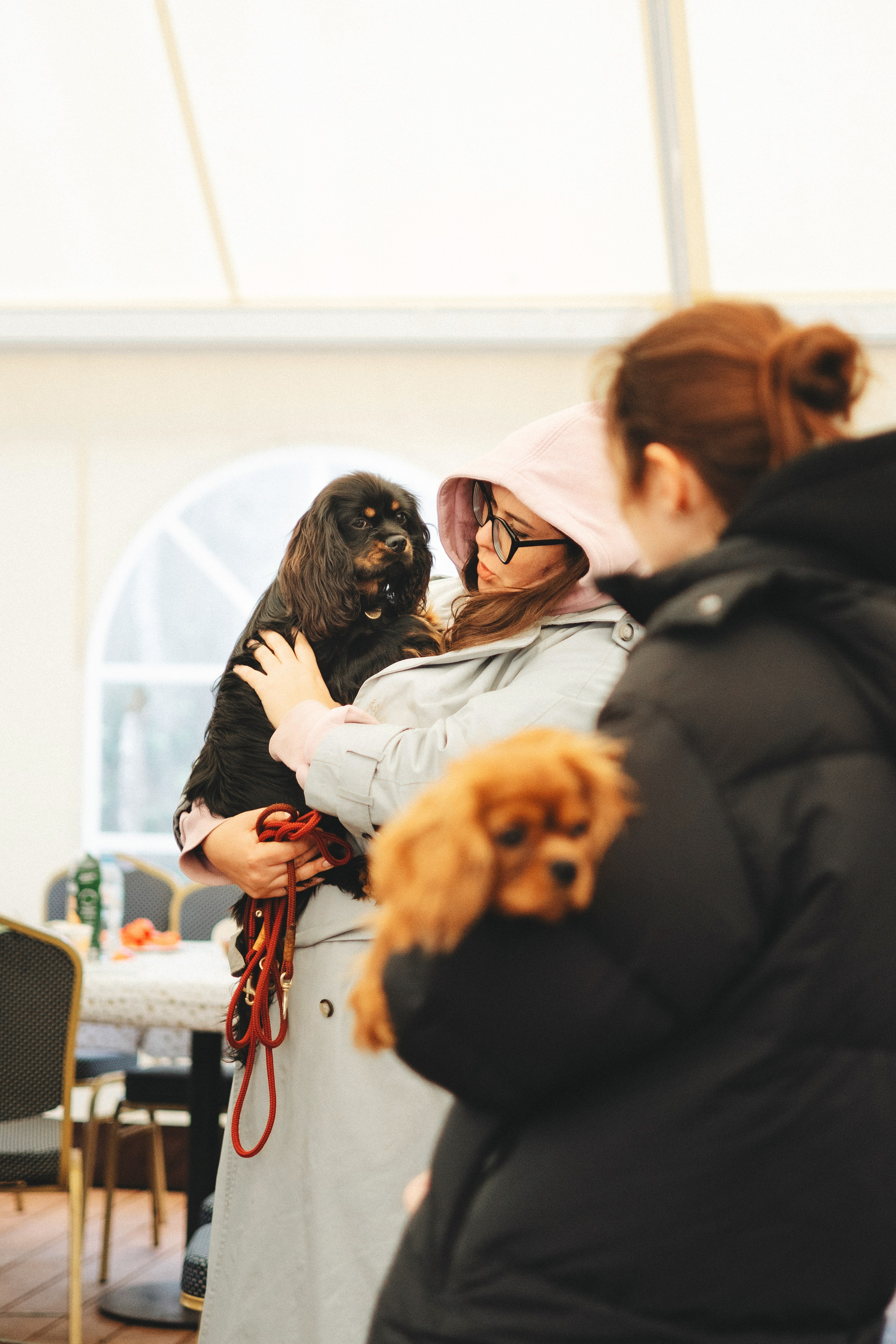 Встреча ККЧС. Фотограф анималист Осипчикова Мария