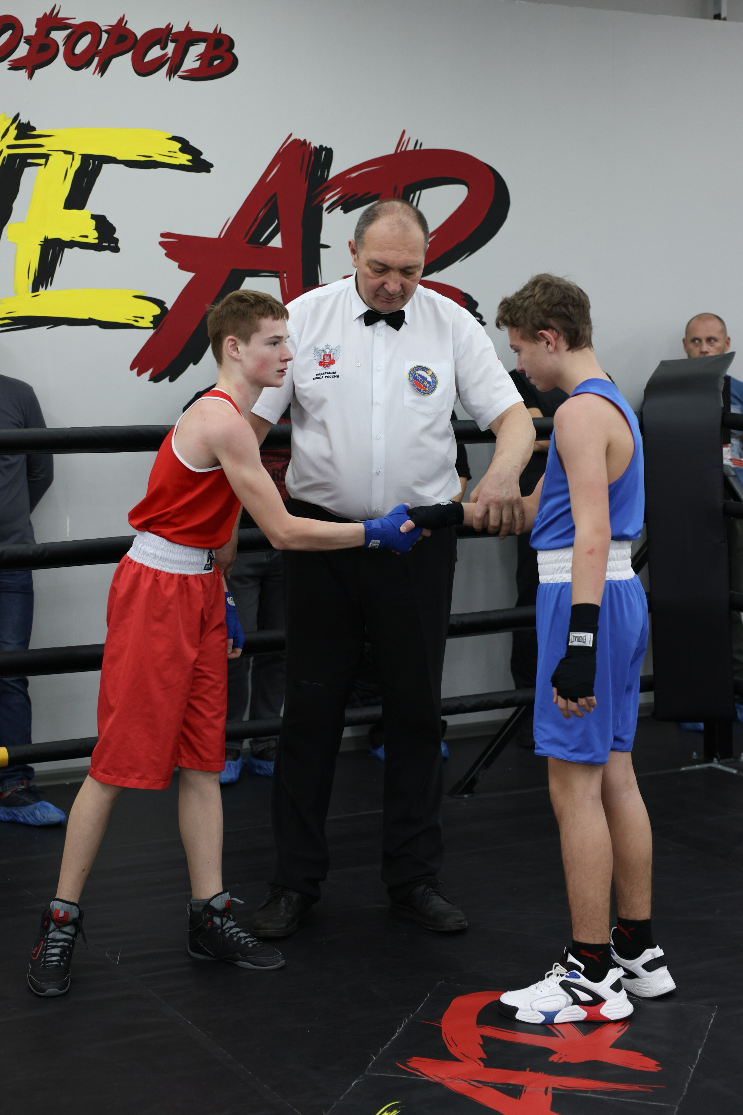 Открытый ринг «кубок ООО «ТЭК НеваСпецТяж». Фотограф Александр Заломаев