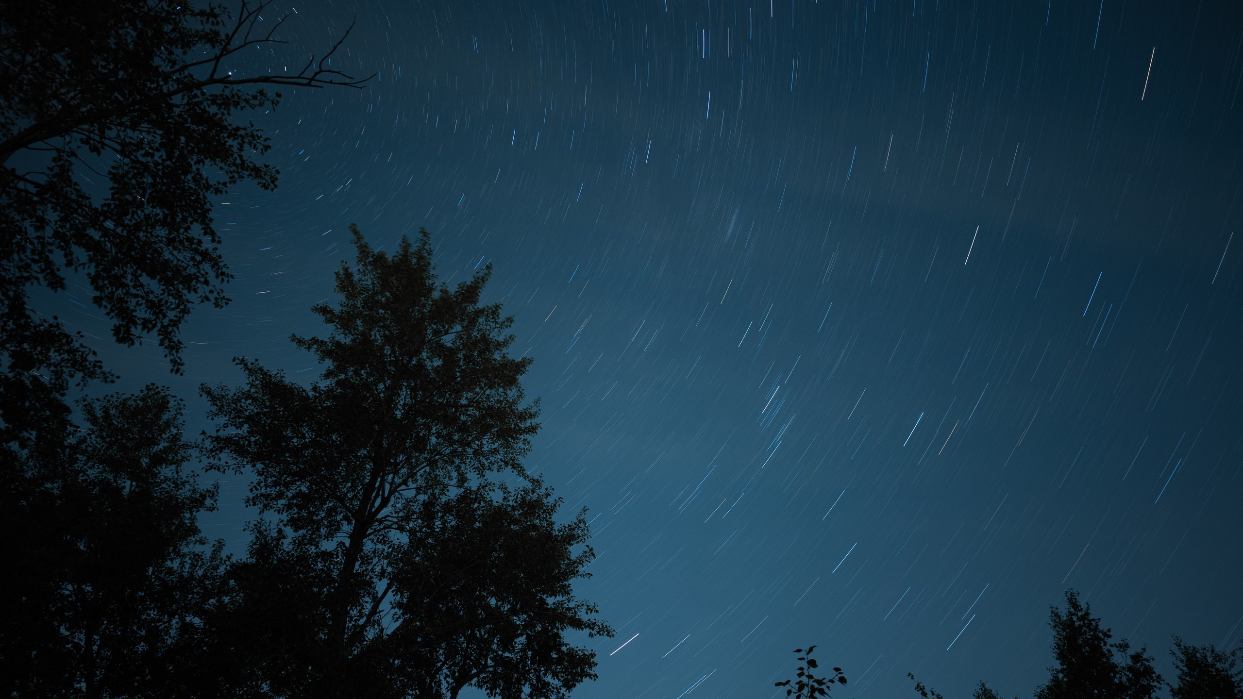 Случайные моменты. Бжицких Виталий — фотограф г. Ульяновск