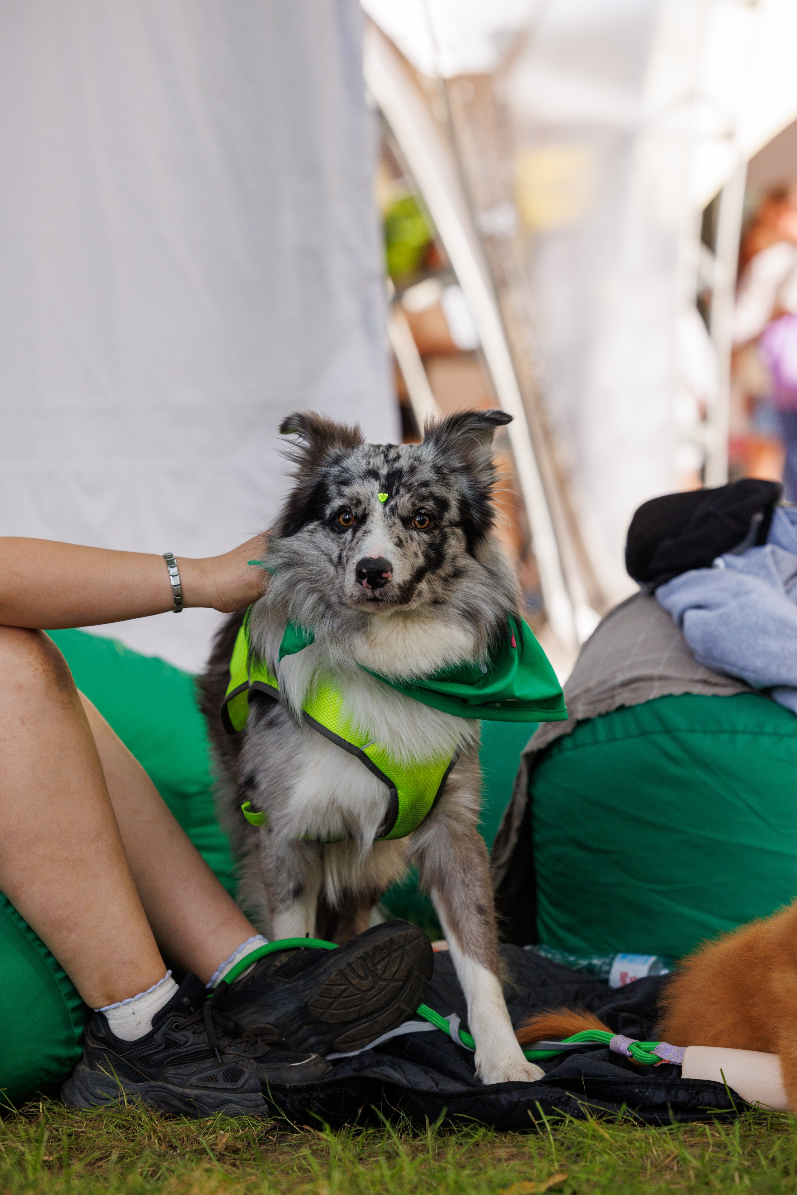 PetShopDays2026. Фотограф Александр Заломаев