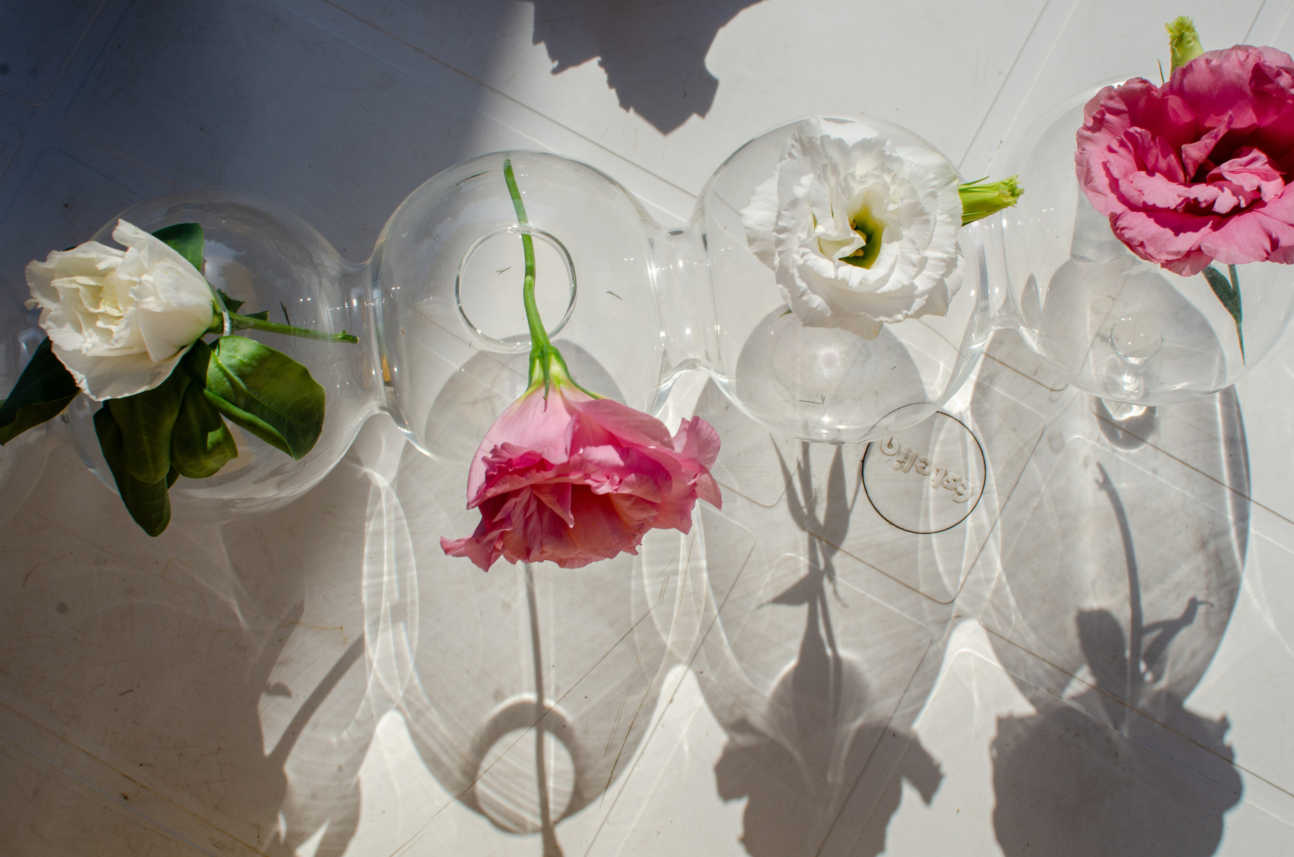 Children's birthday. Event photographer Alena Iurchenko