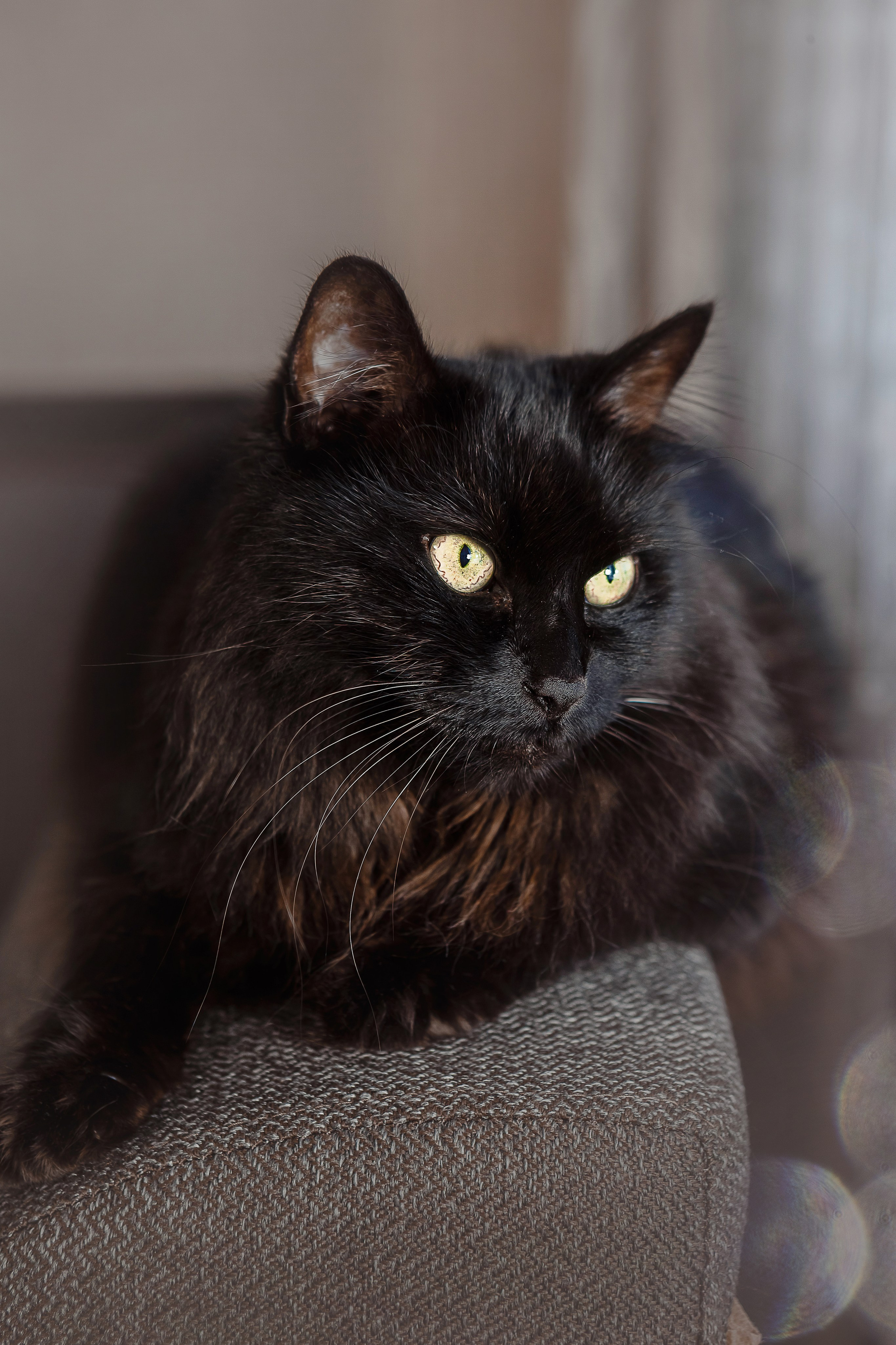 Подготовка к Новому году!. Детский, семейный фотограф в Южно-Сахалинске, Невельске и Холмске