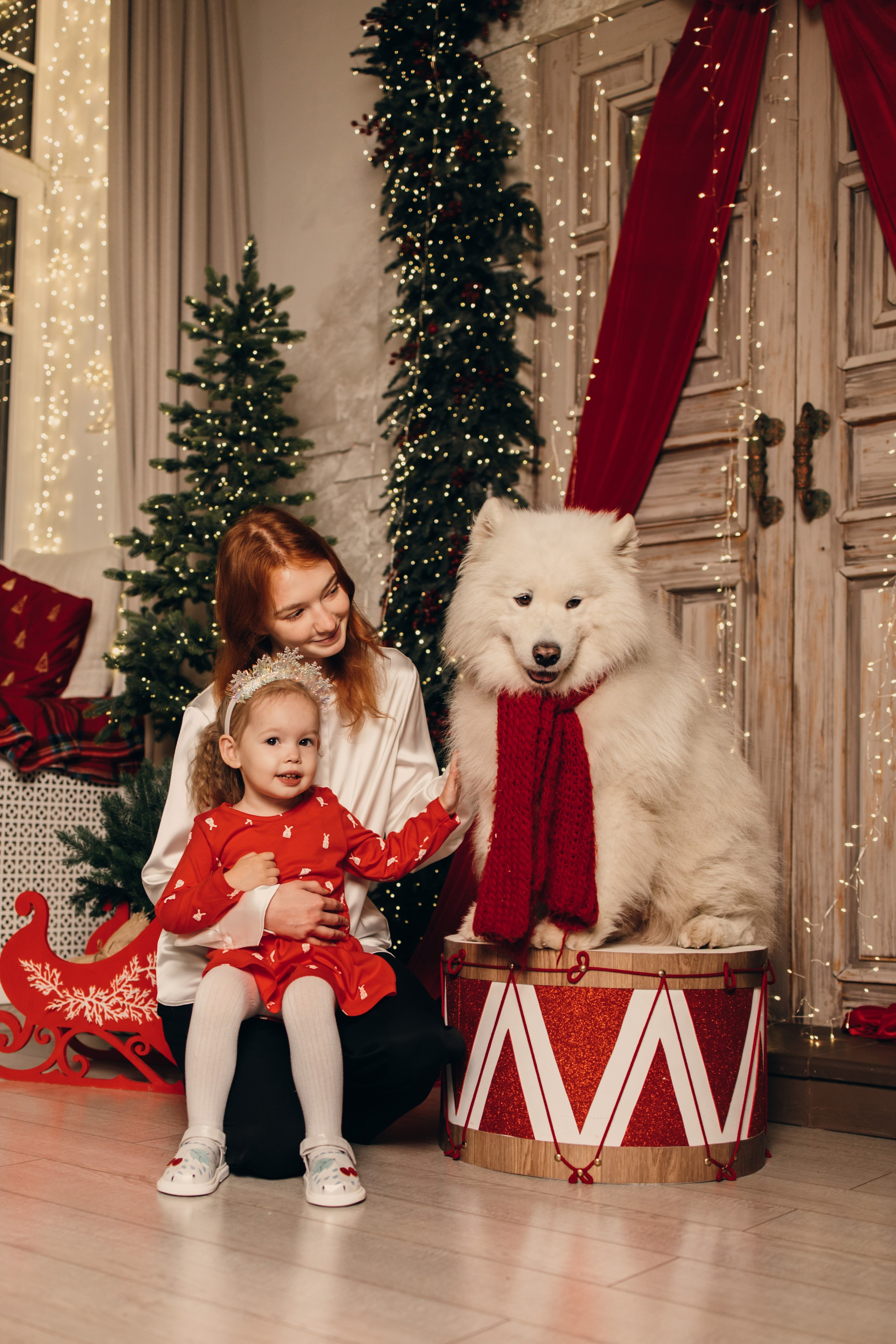 Новогодний самоед. Коновалова Ольга | фотограф в Пензе и Заречном