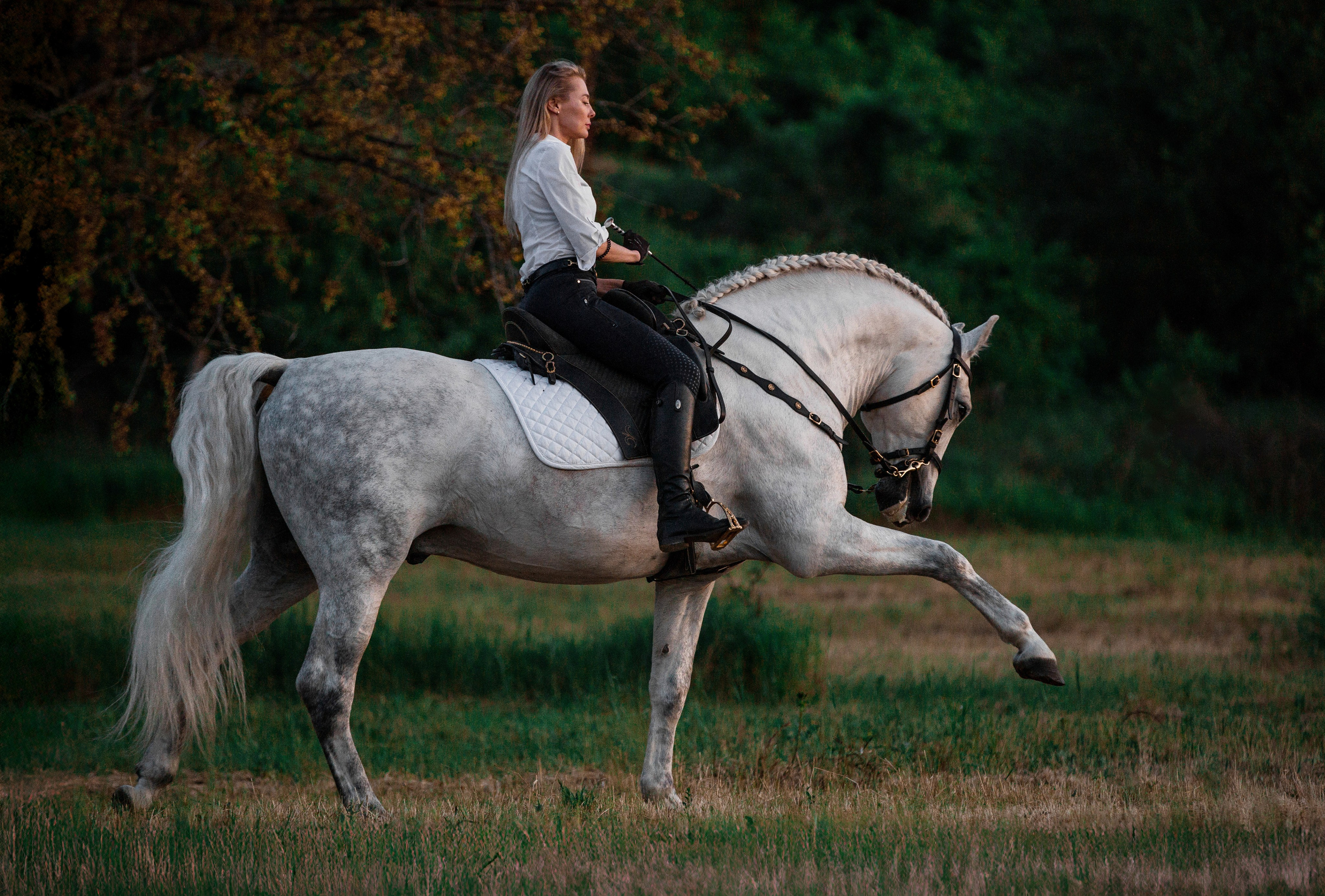 Натали и Цезарь. Фотограф-анималист Ксендзова Кристина