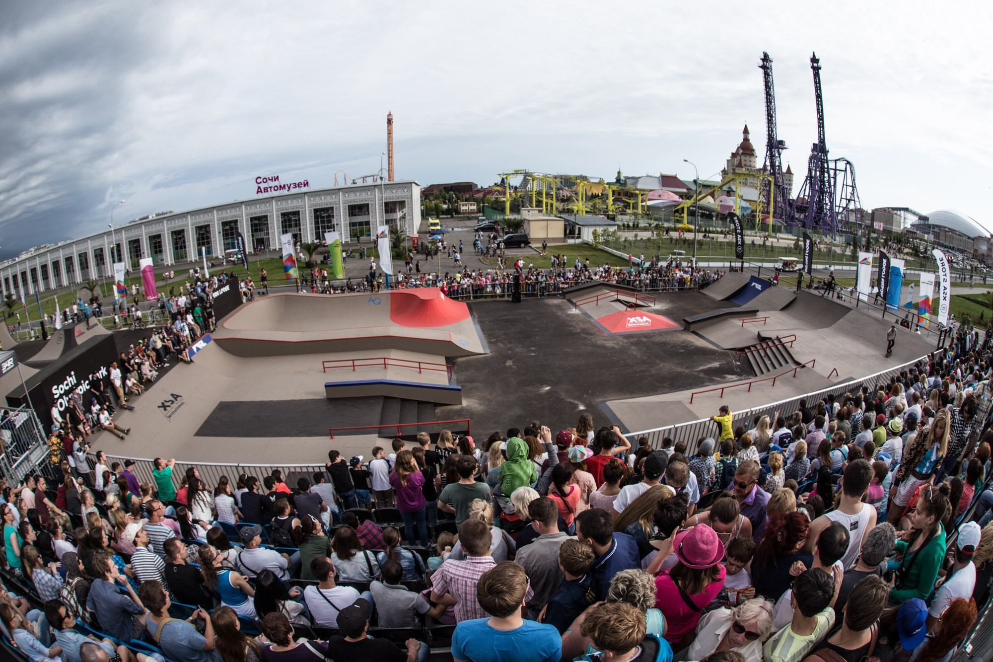 Random photo roulette. Bivol images